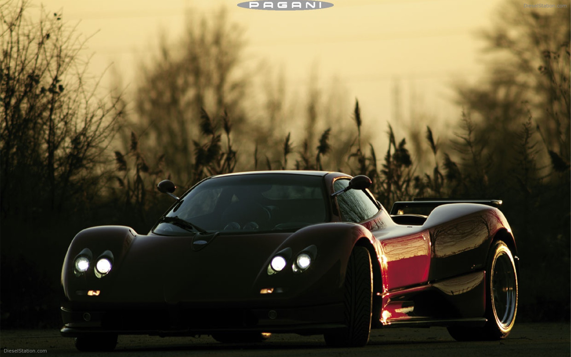 Pagani Zonda S
