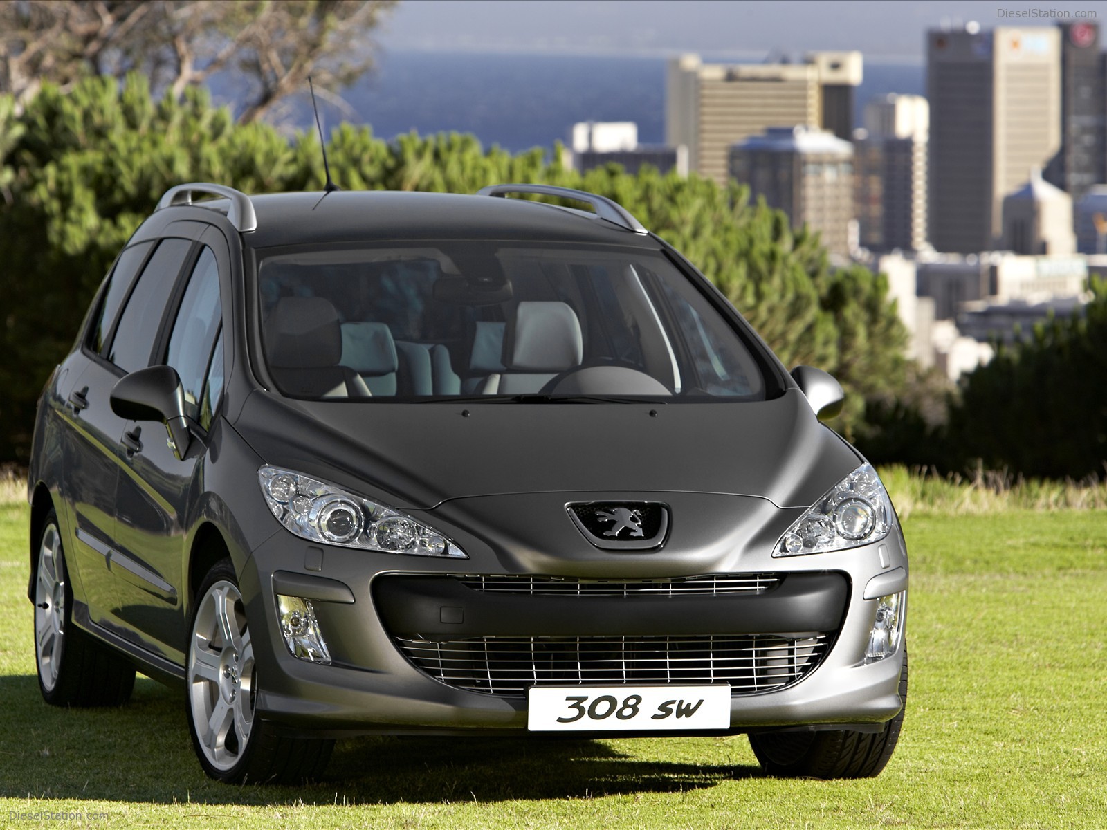 2009 Peugeot 308 SW