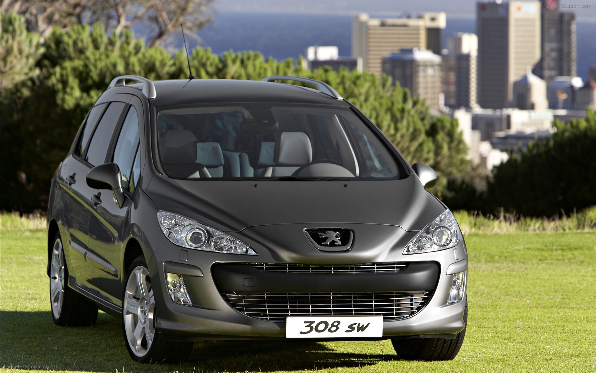 2009 Peugeot 308 SW