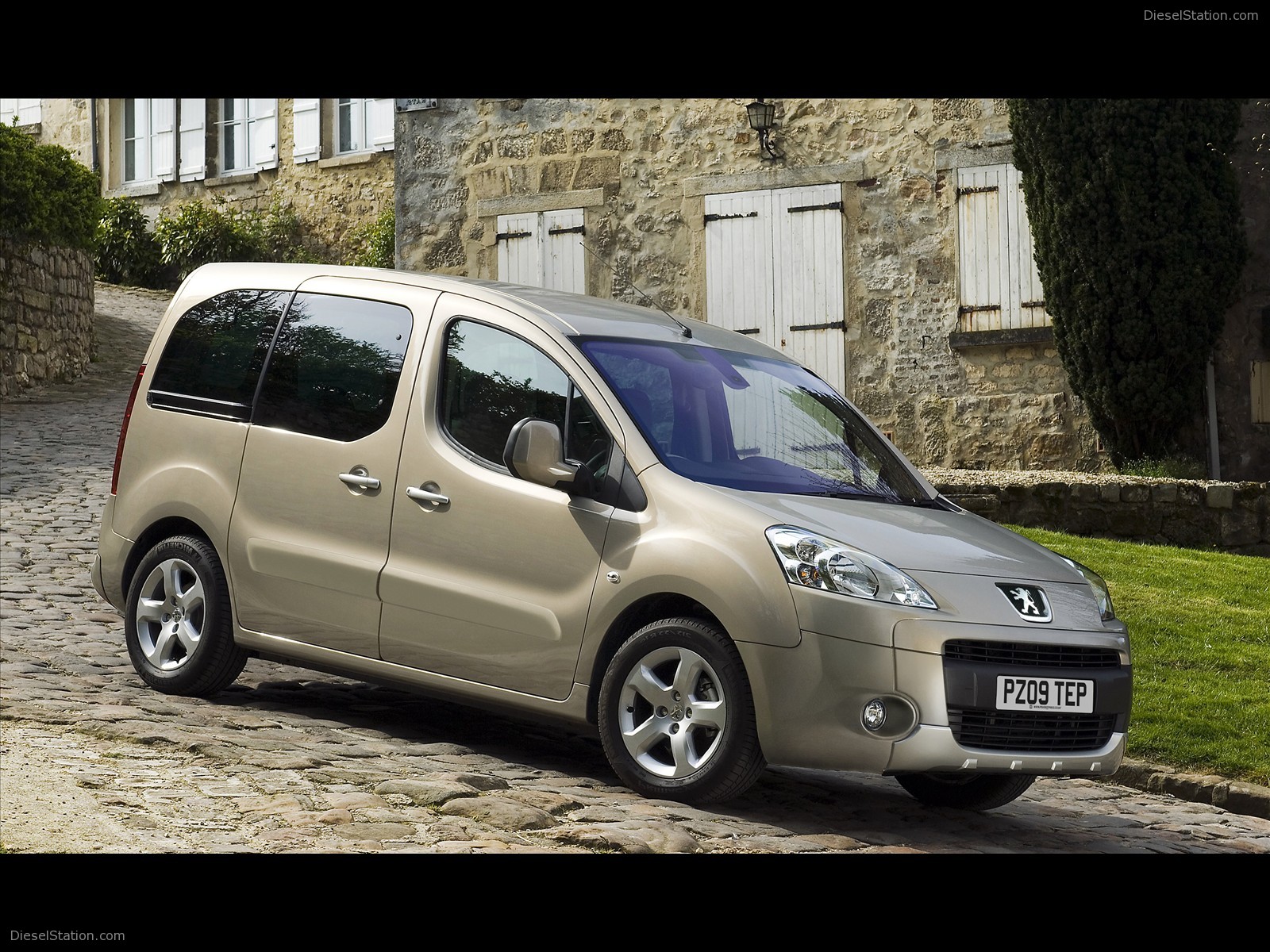 2009 PEUGEOT PARTNER TEPEE