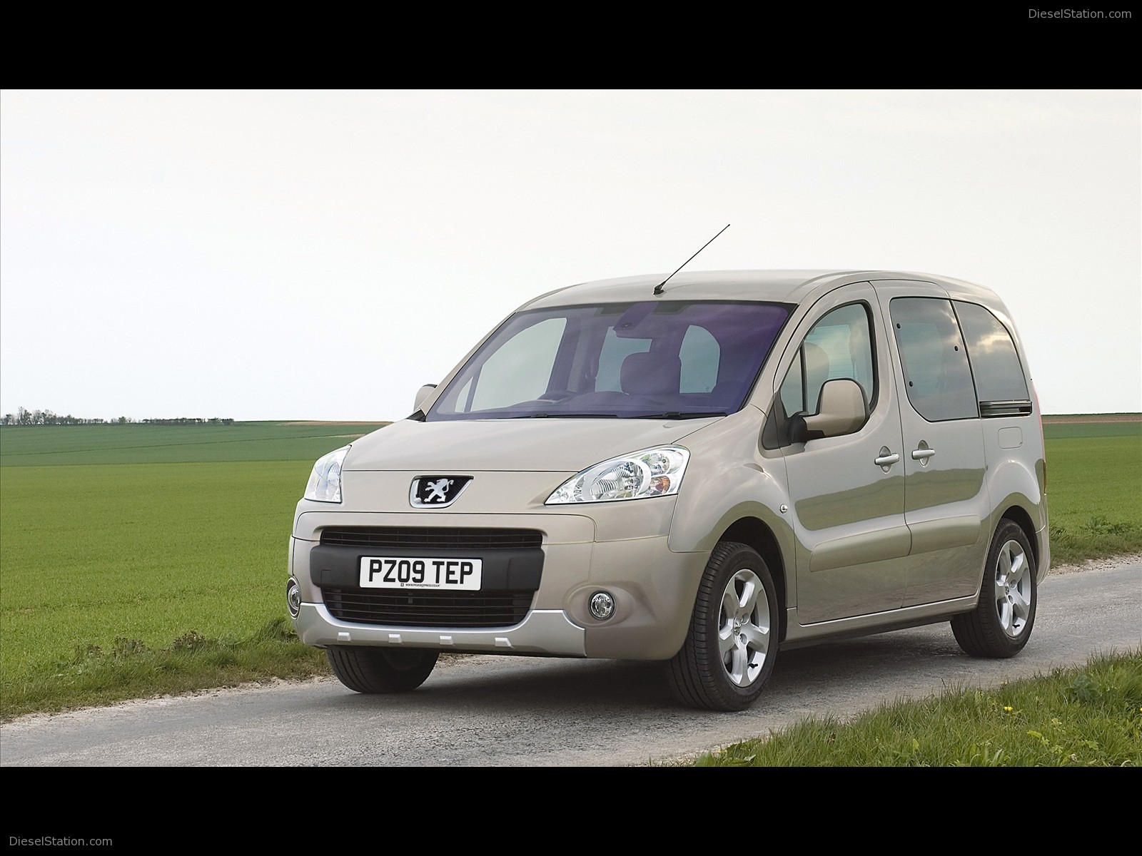 2009 PEUGEOT PARTNER TEPEE