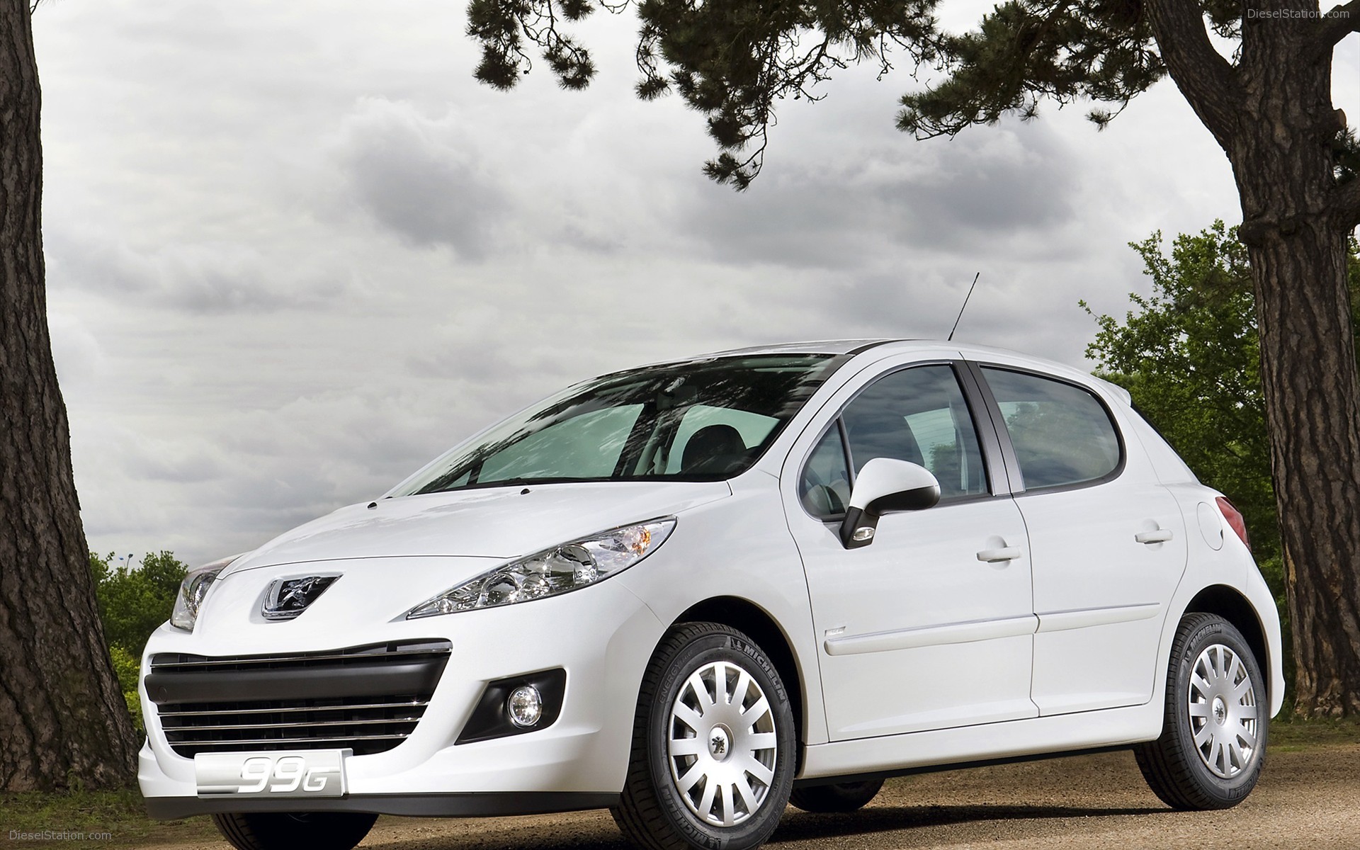 Peugeot 207 Economique