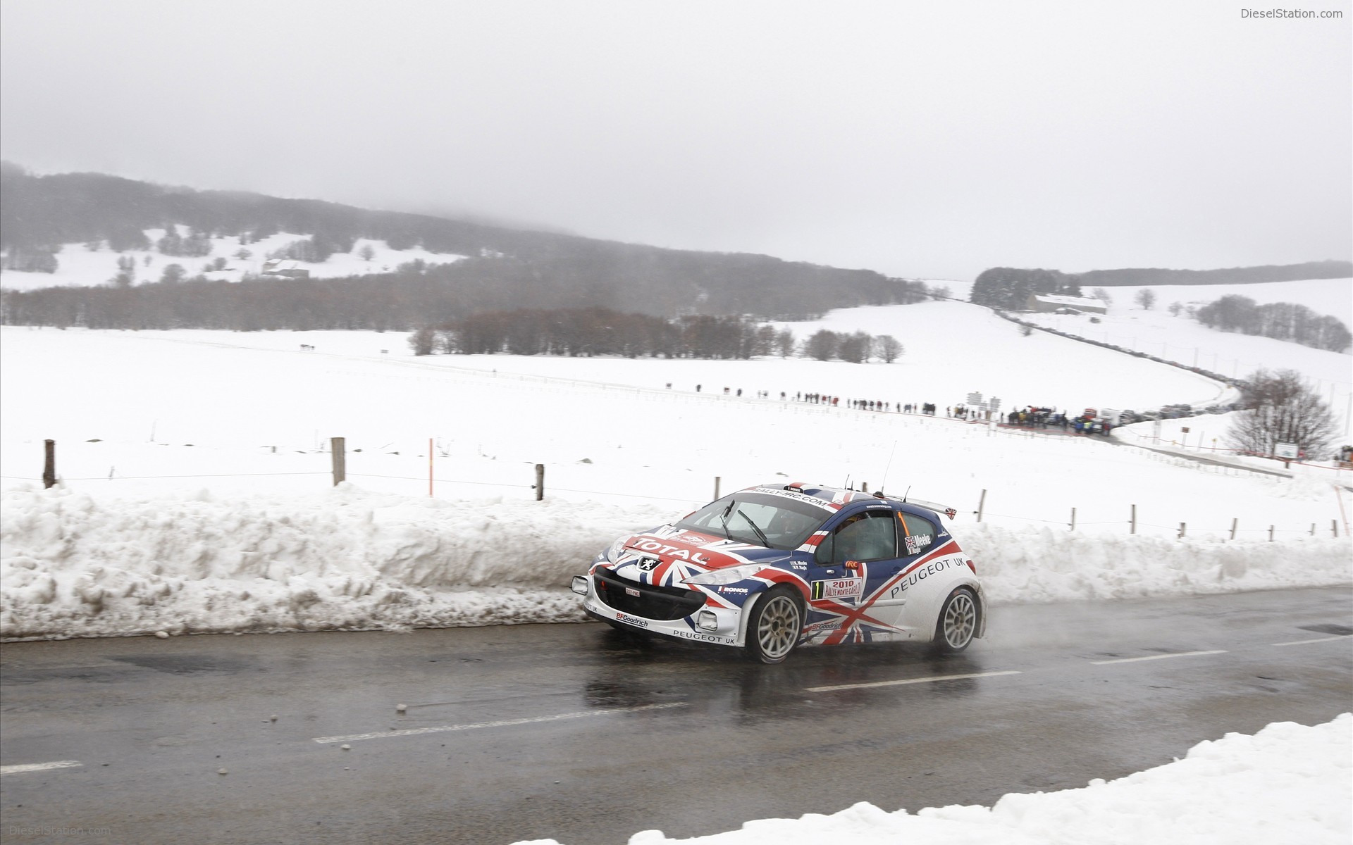 Peugeot 207 S2000 at 2010 Monte Carlo Rally