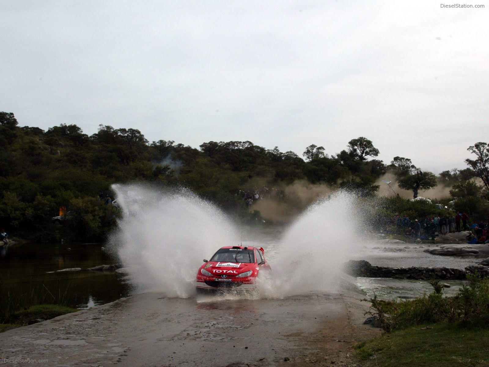 Peugeot Rally