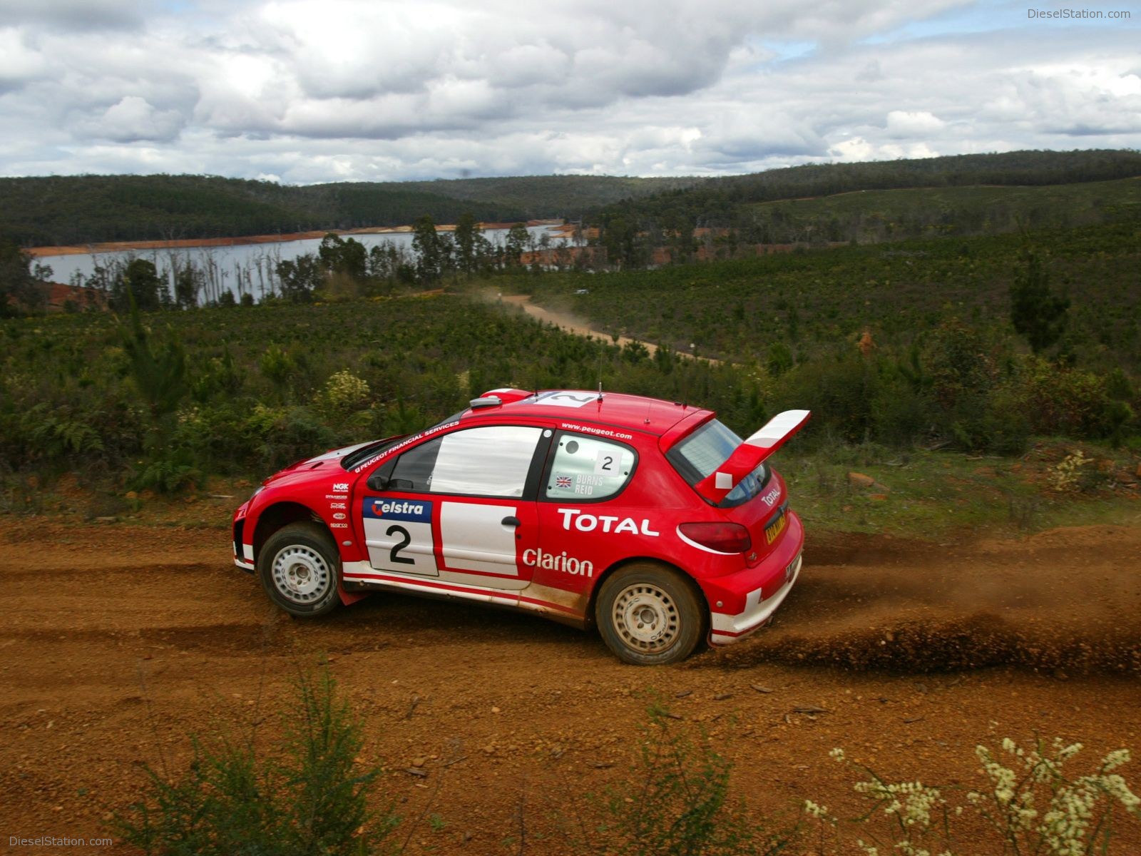 Peugeot Rally