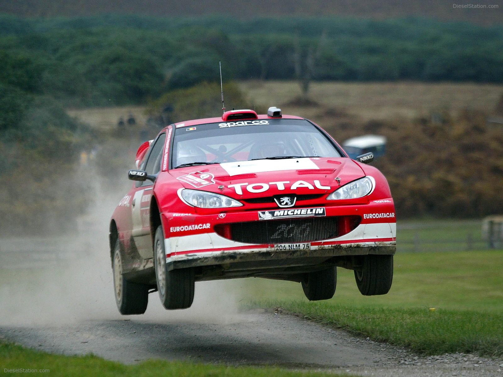 Peugeot Rally