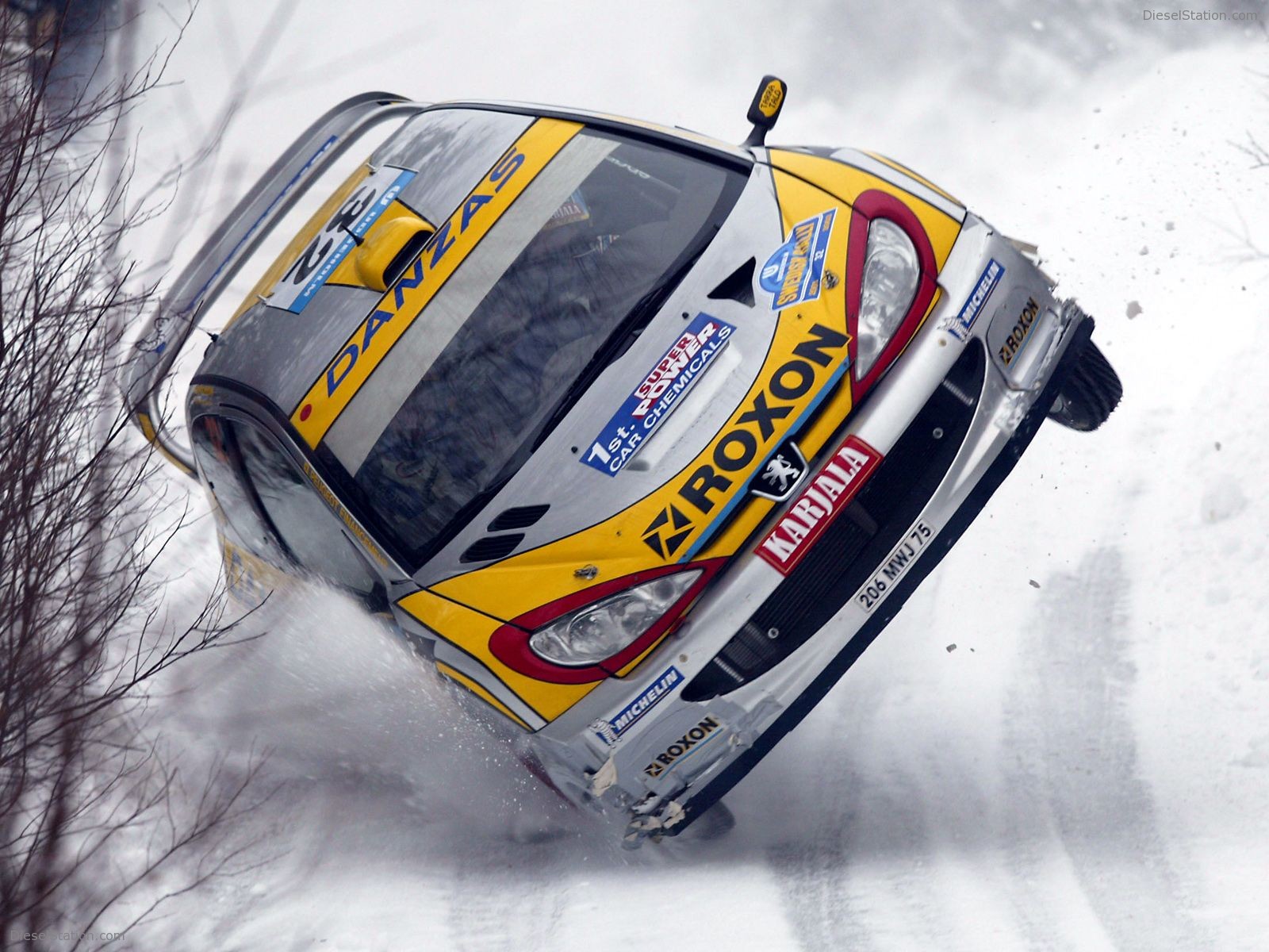 Peugeot Rally