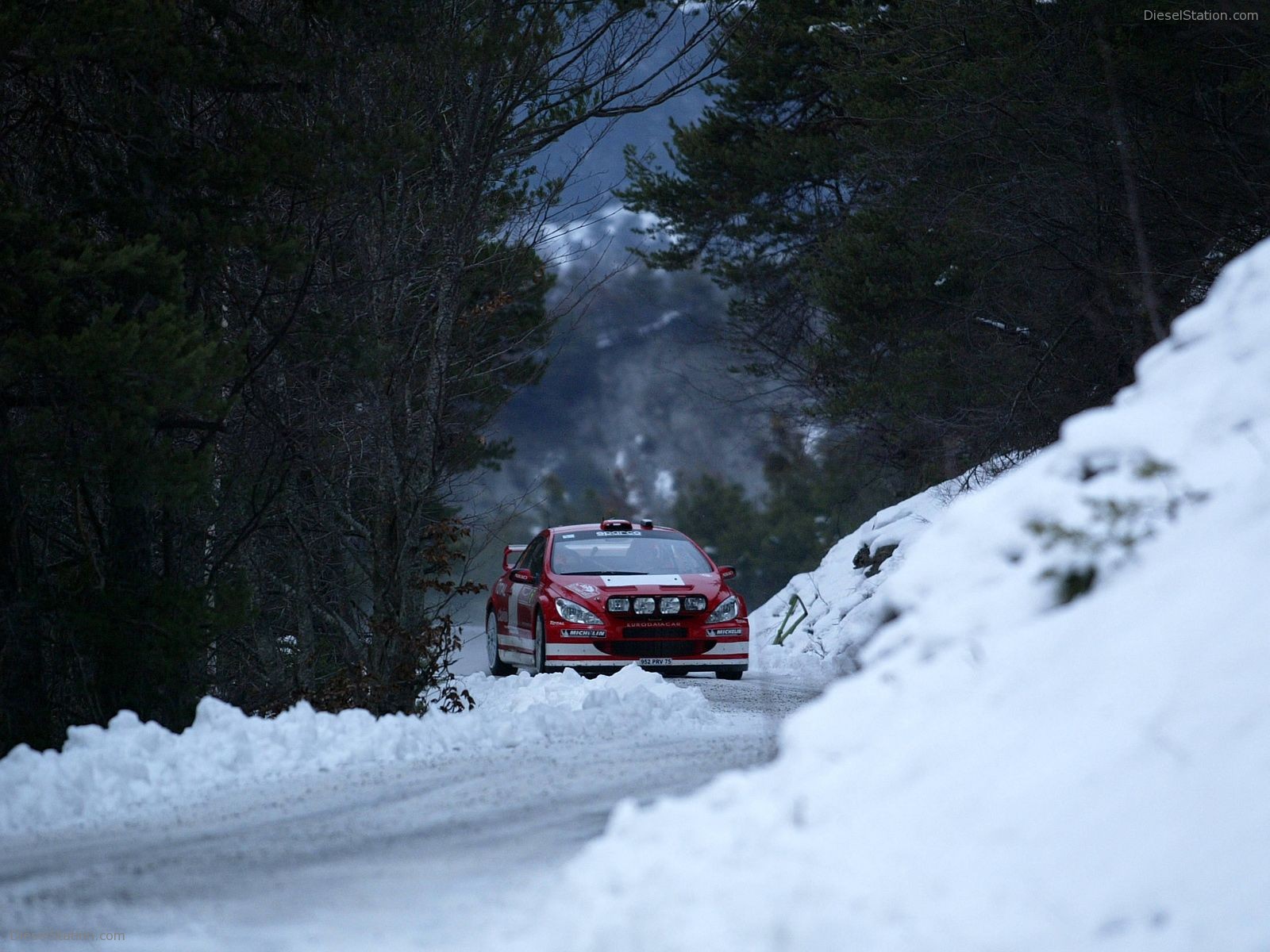 Peugeot Rally