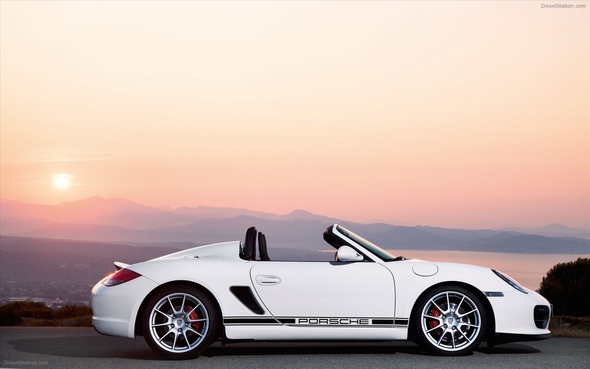 Porsche 2010 Models
