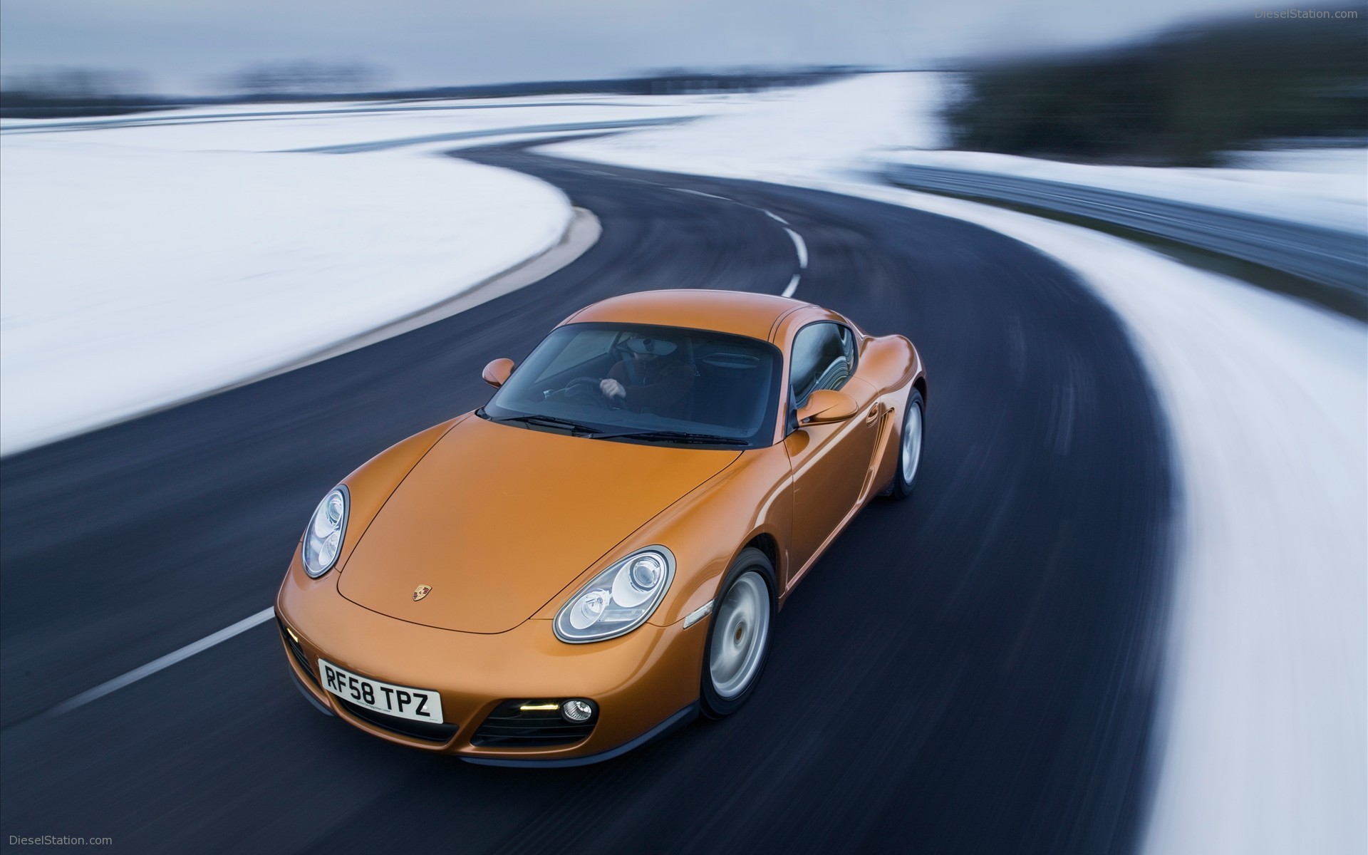 Porsche 2010 Models