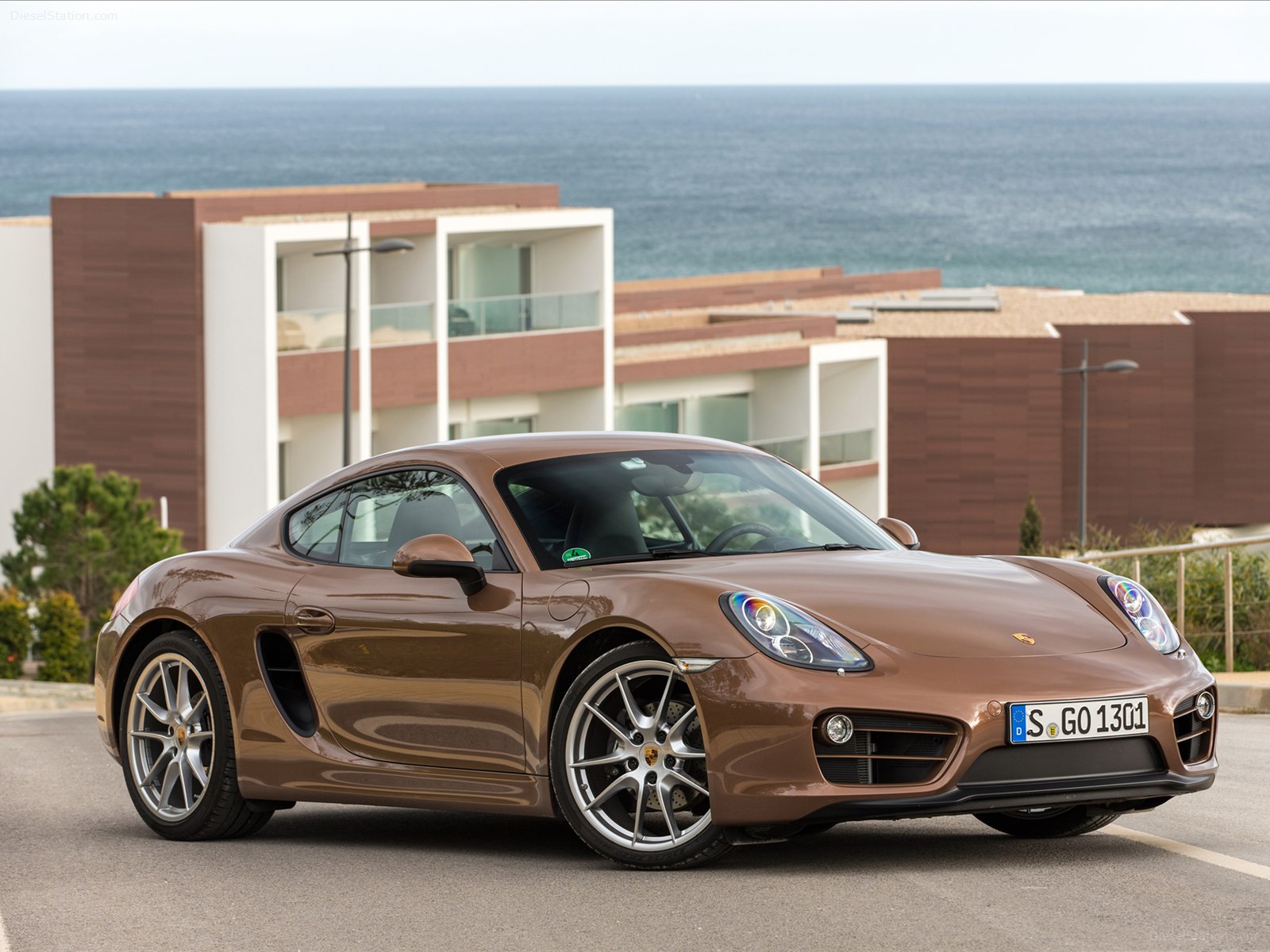 Porsche Cayman 2014