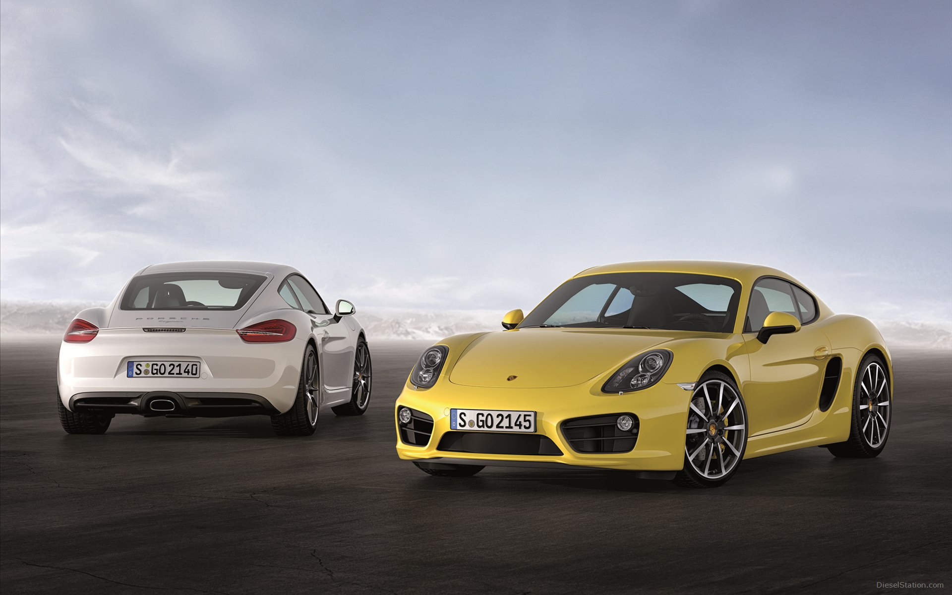 Porsche Cayman 2014