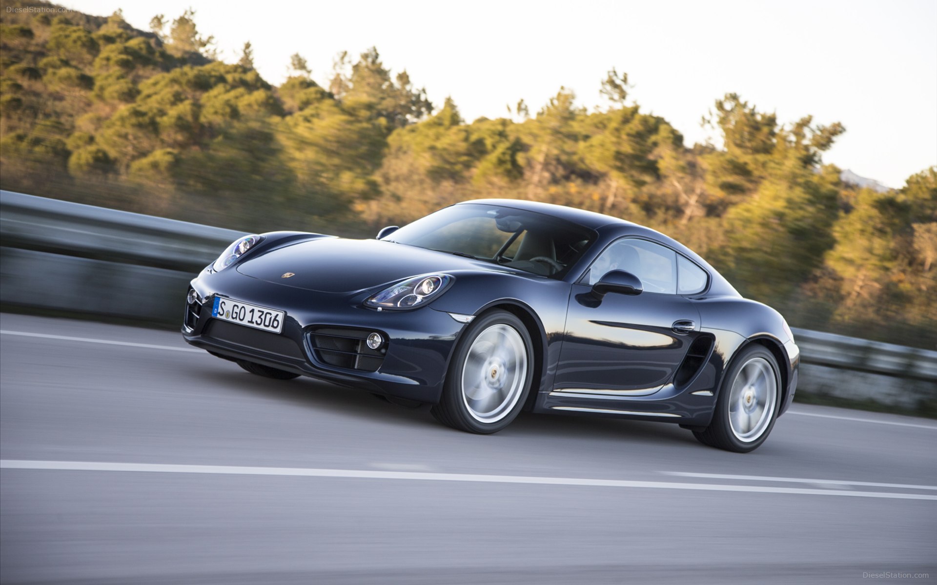 Porsche Cayman 2014