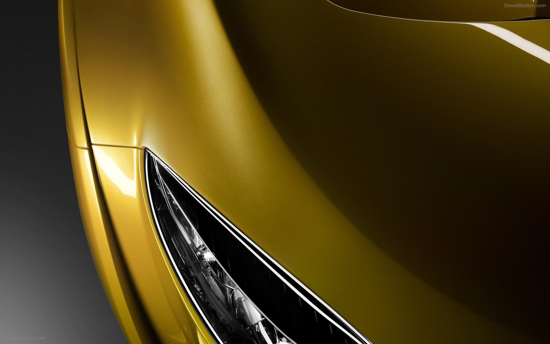 Renault Megane Trophy 2009