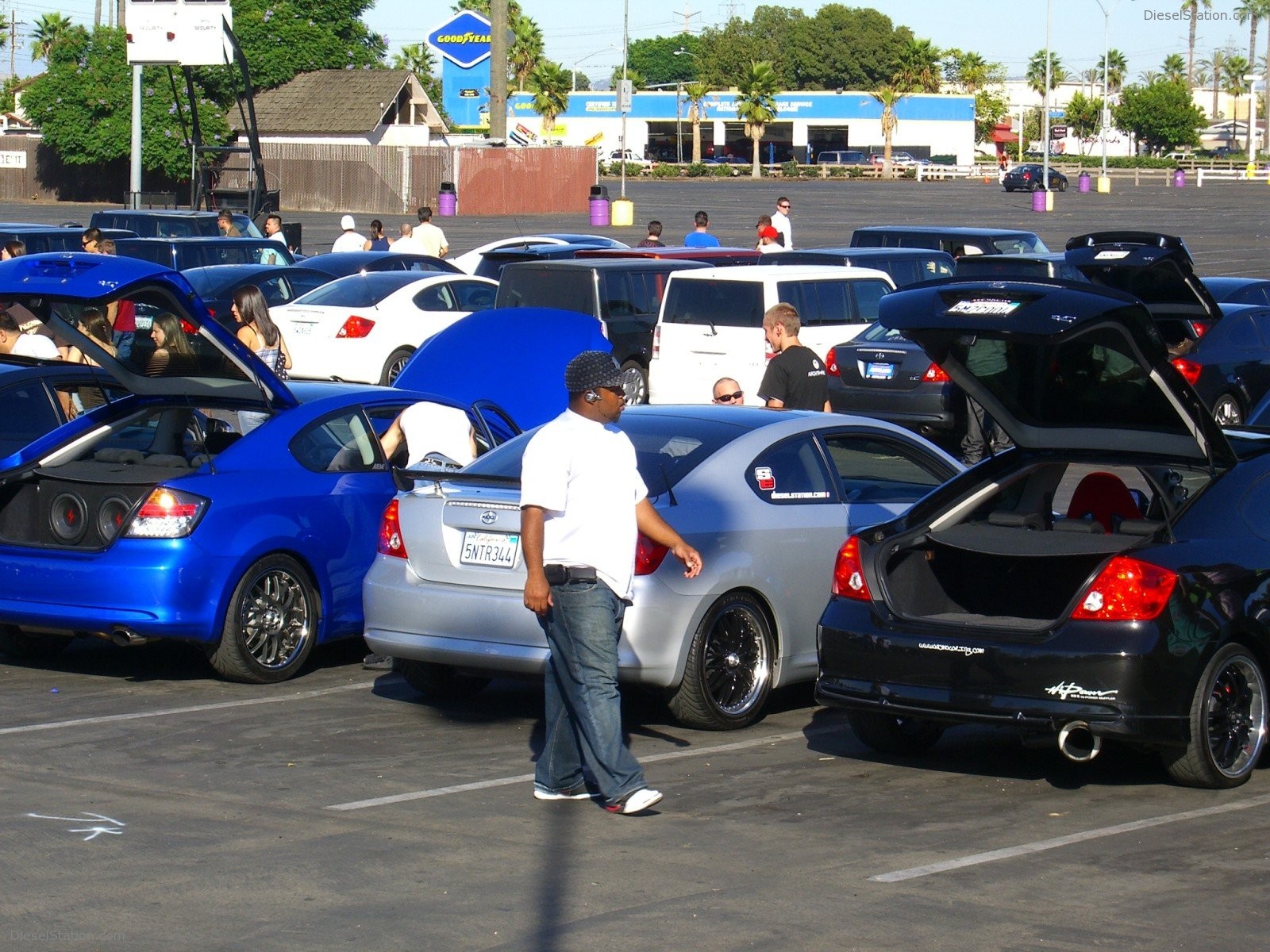 Scion Night Knotts Scary Farm