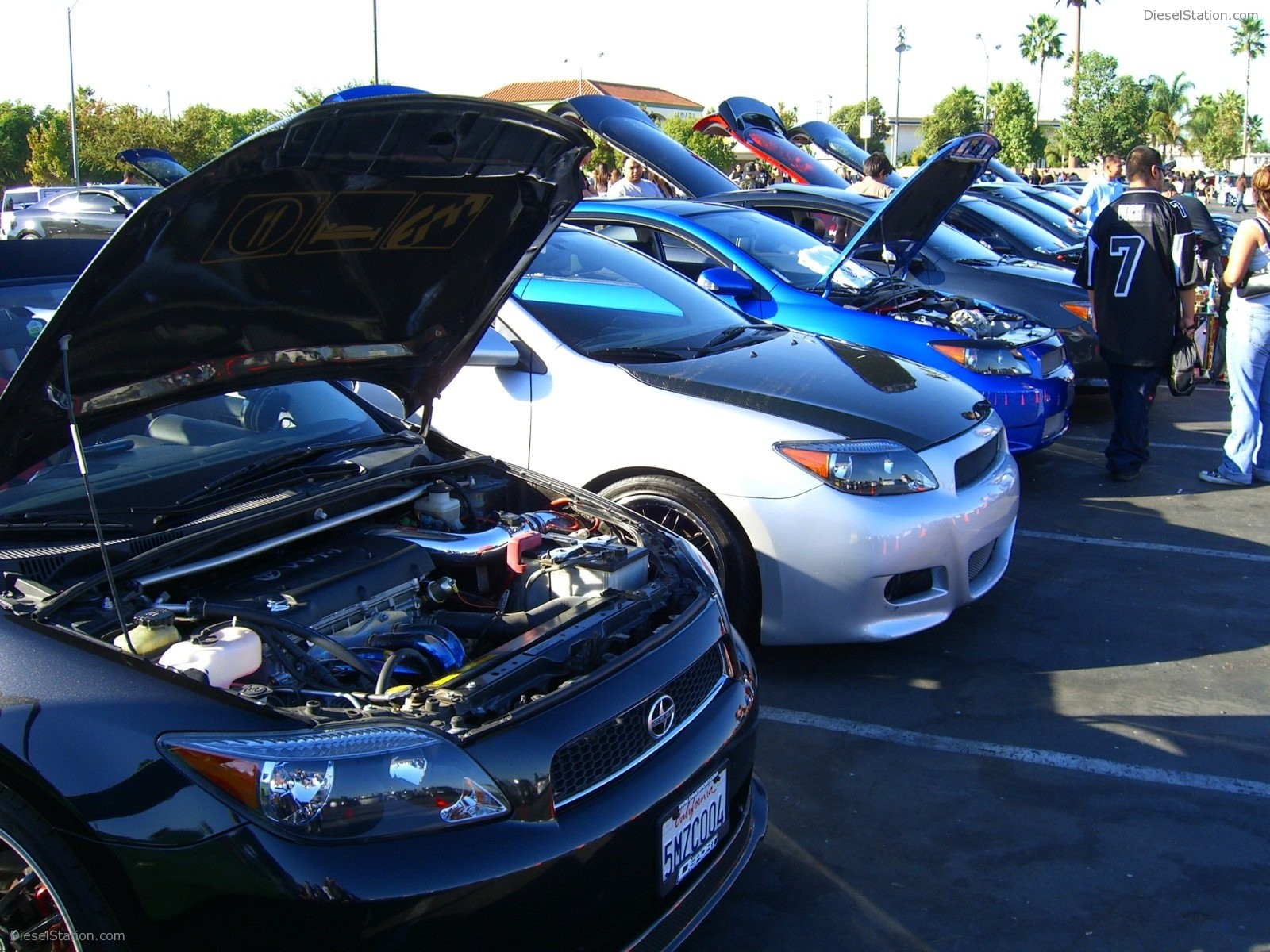 Scion Night Knotts Scary Farm