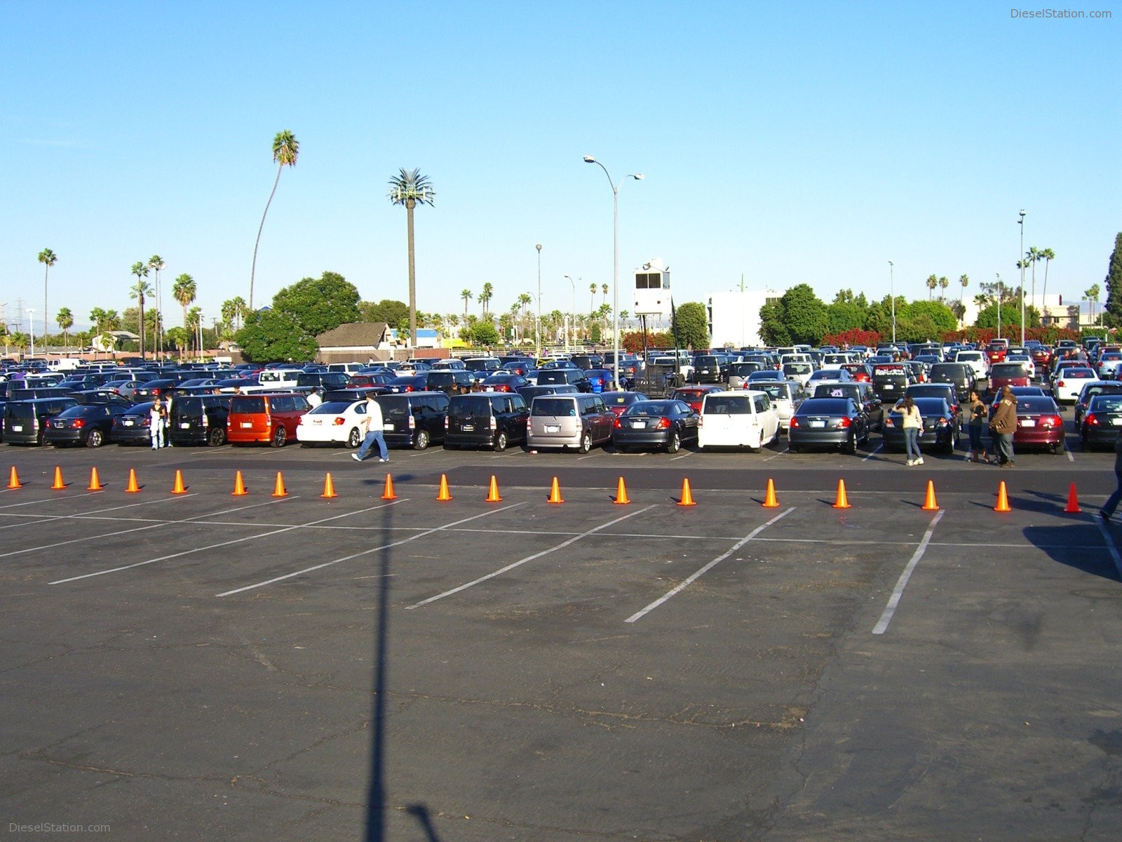 Scion Night Knotts Scary Farm