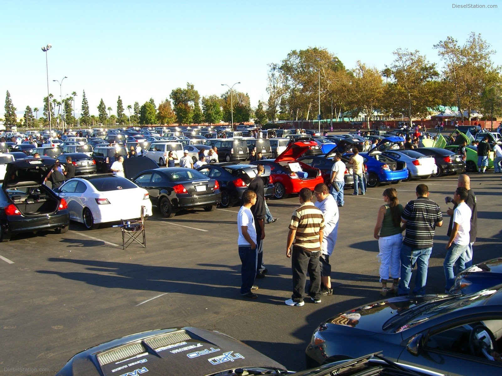 Scion Night Knotts Scary Farm