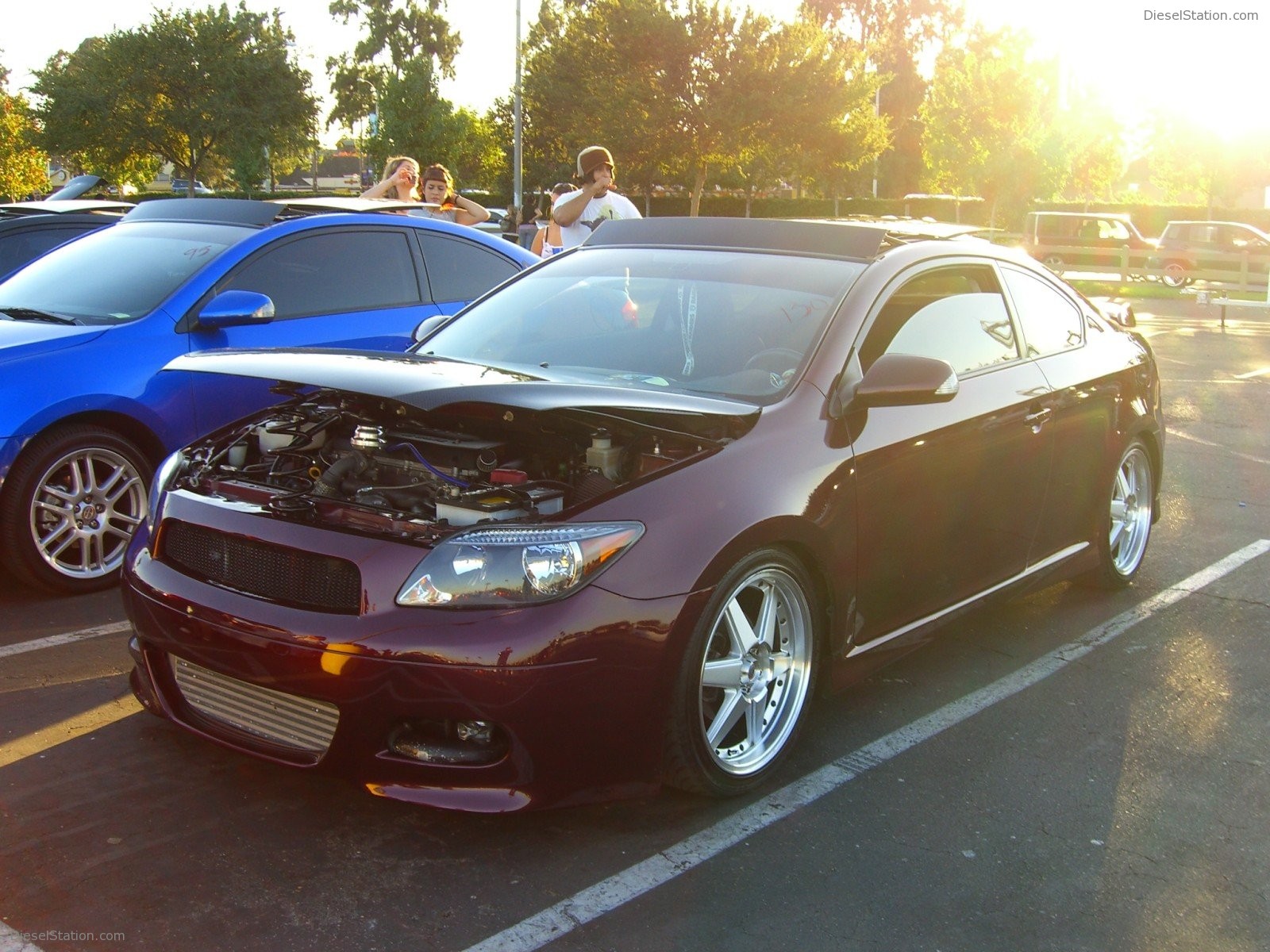 Scion Night Knotts Scary Farm