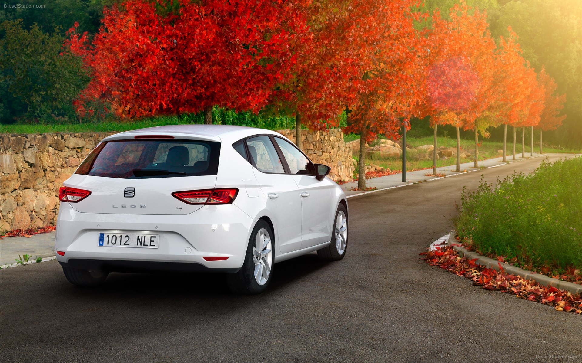Seat Leon 2013