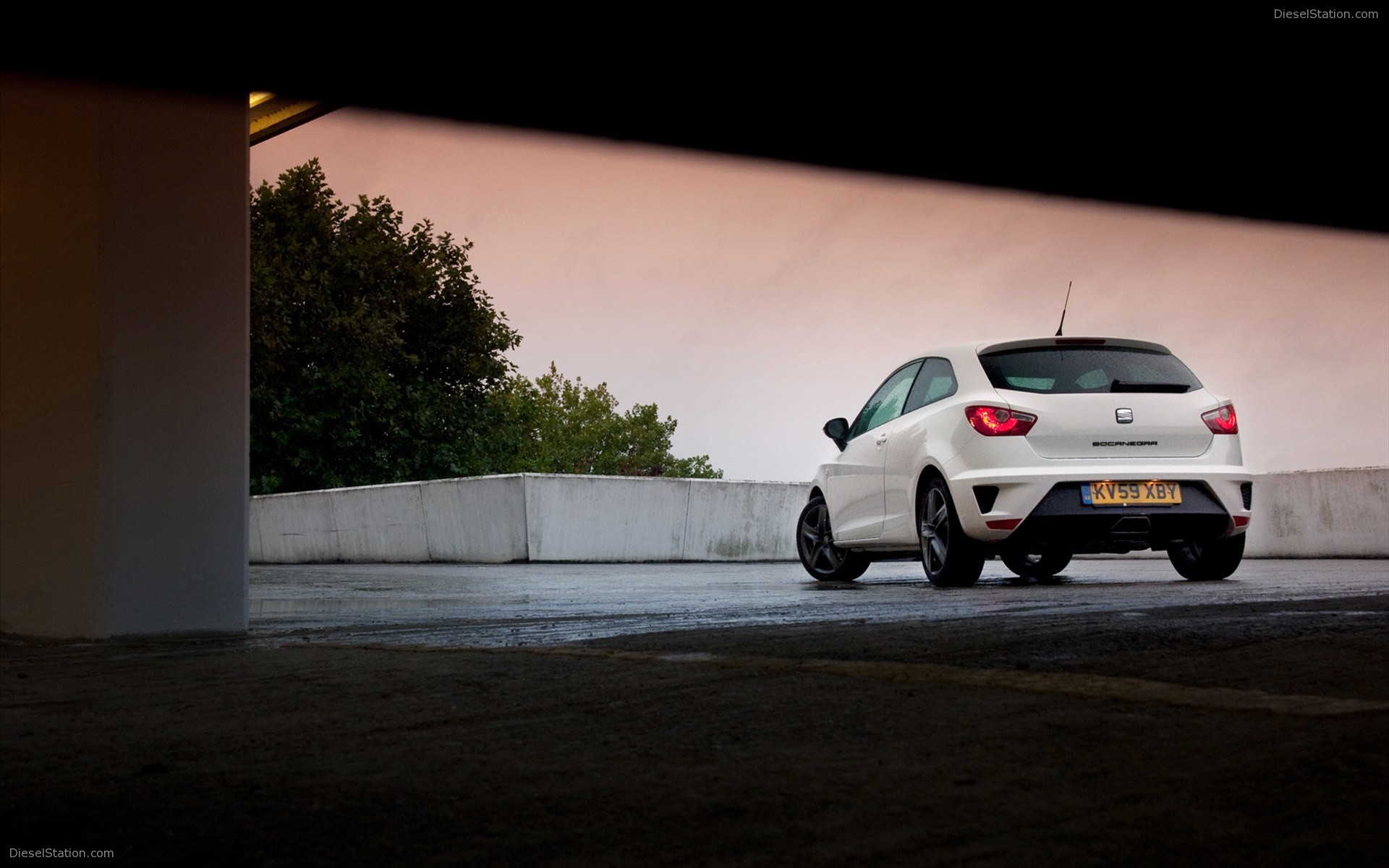 SEAT Ibiza Cupra Bocanegra 2012