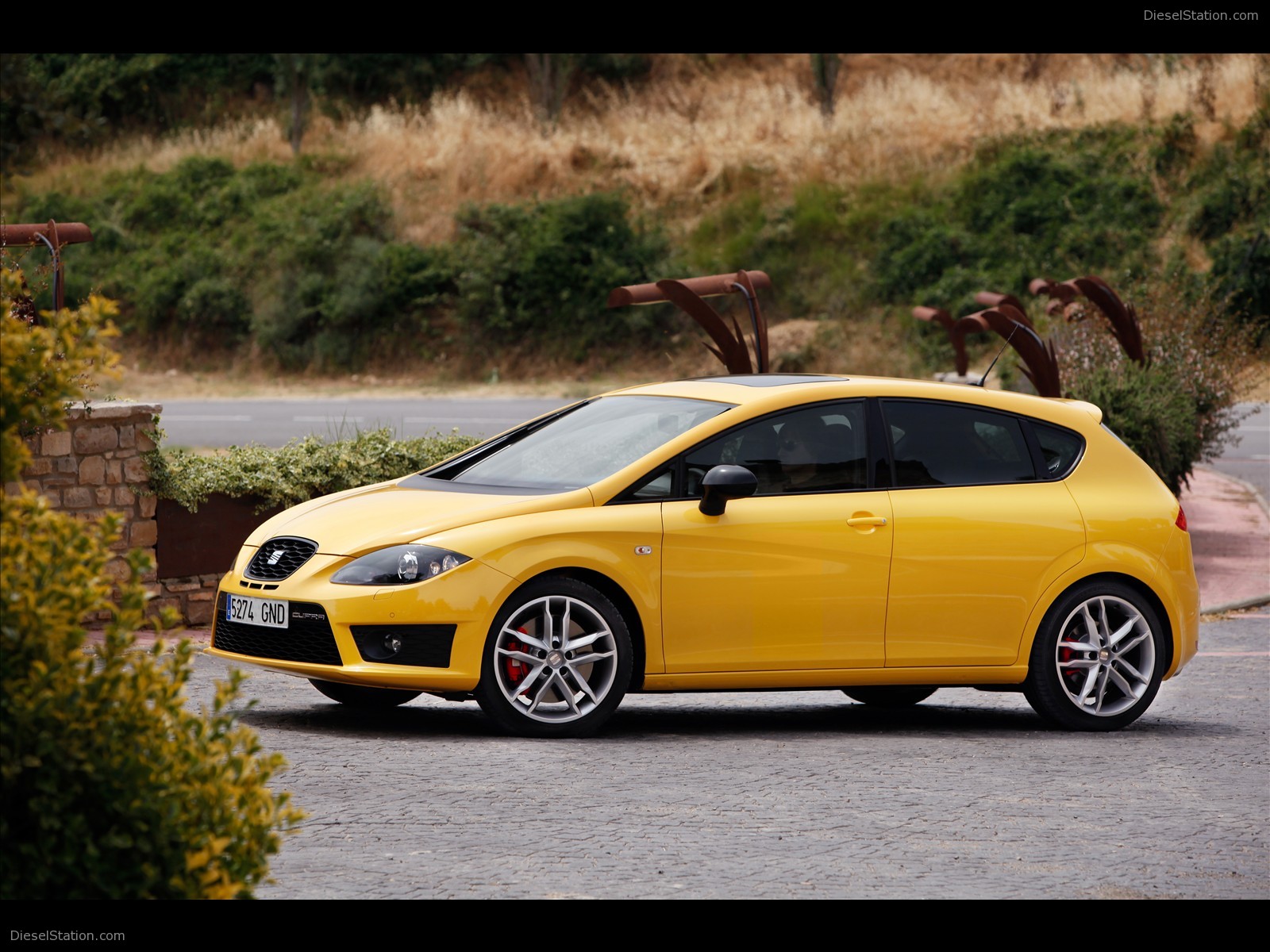 Seat Leon Cupra(2010)