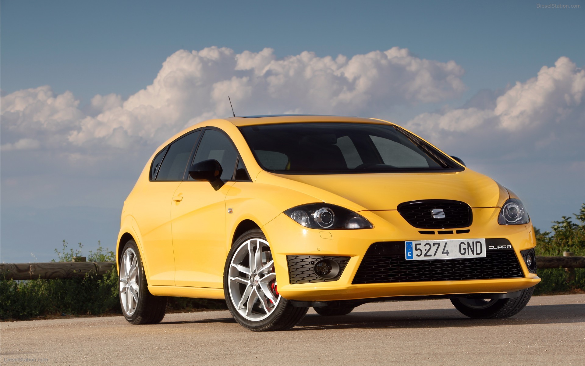 Seat Leon Cupra(2010)