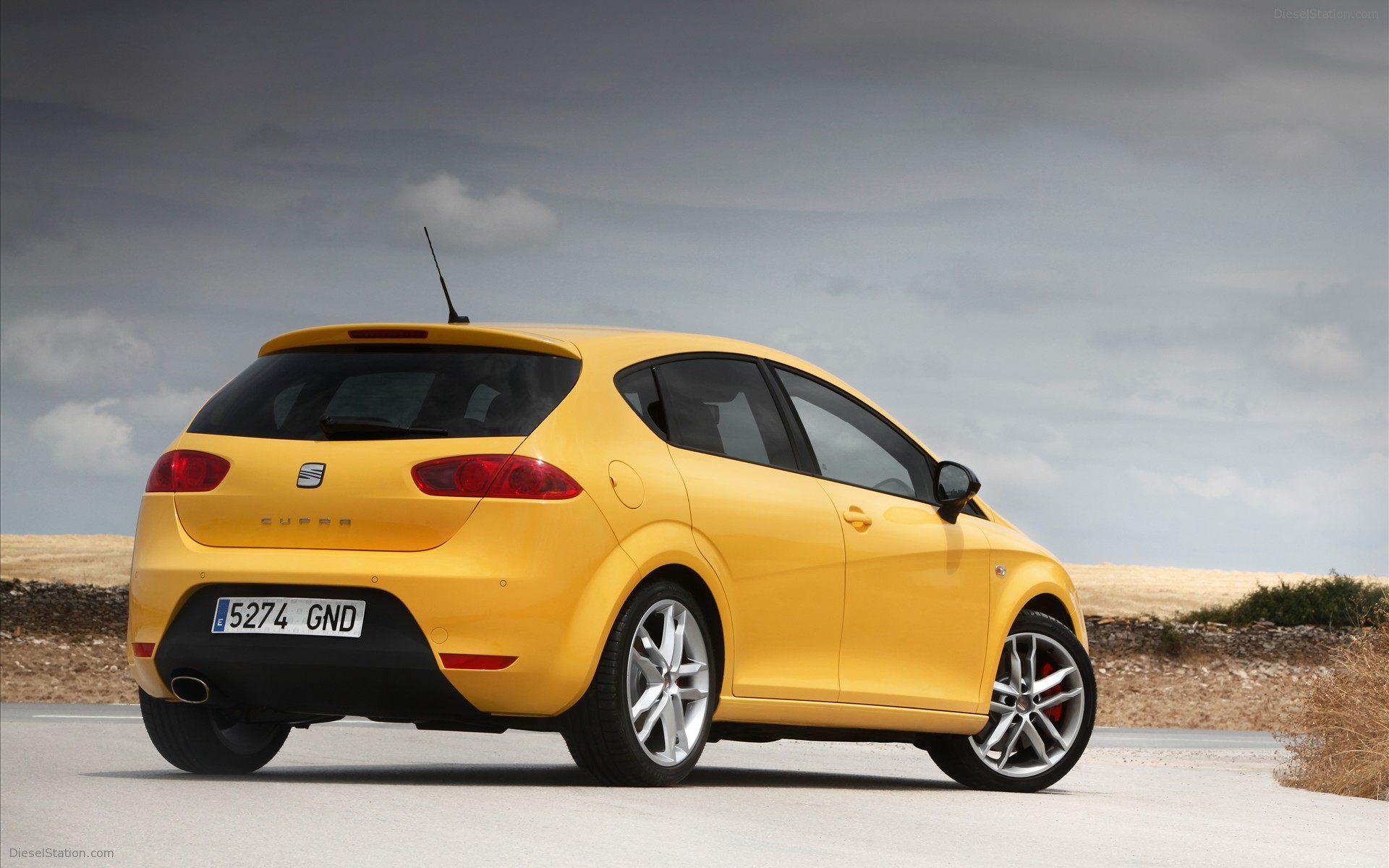 Seat Leon Cupra(2010)