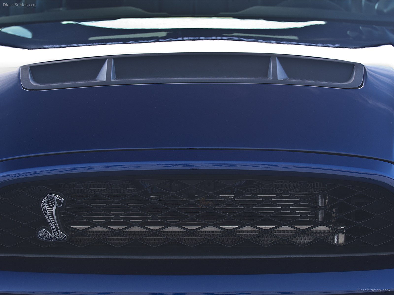 Ford Shelby 1000 2012