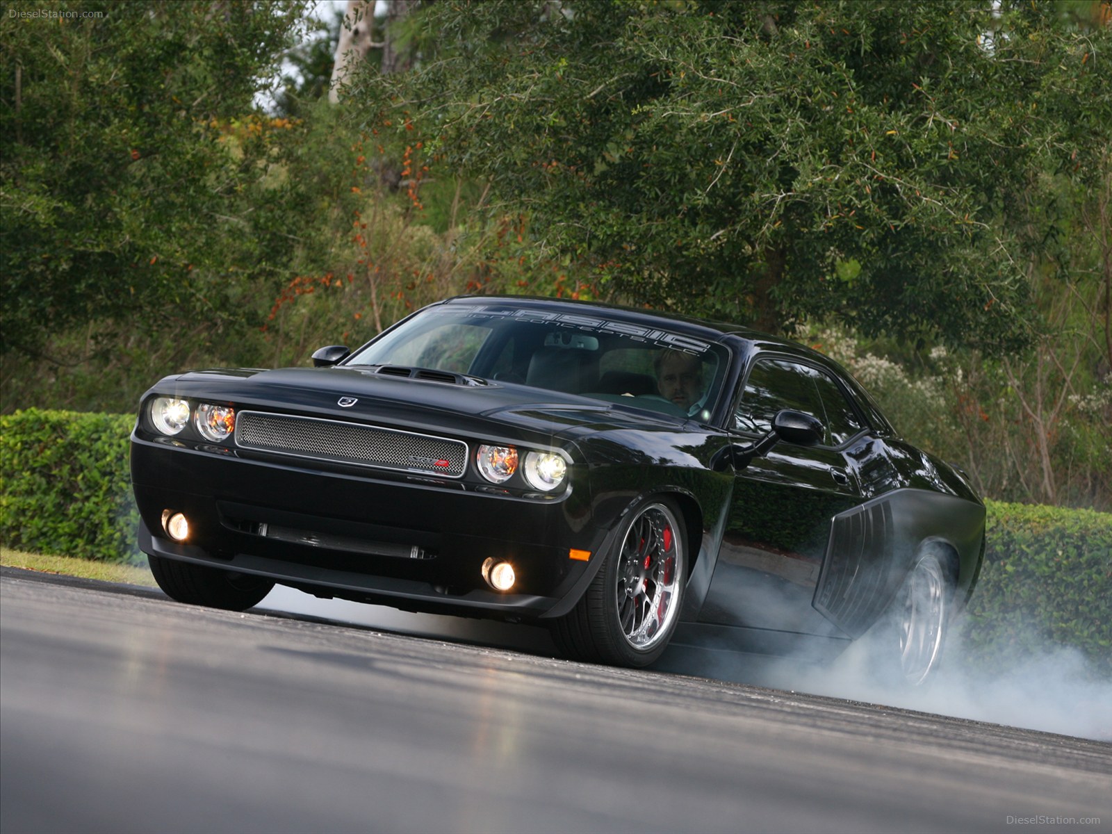 Ford Shelby 1000 2012