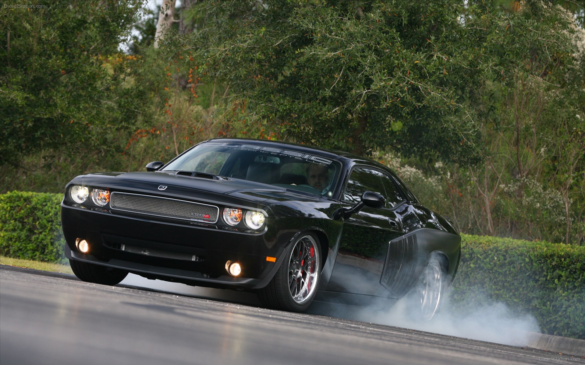 Ford Shelby 1000 2012