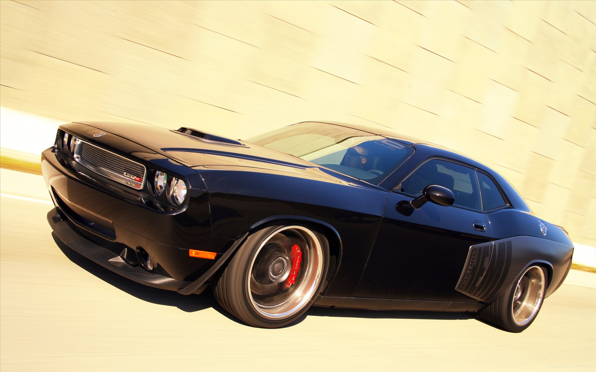 Ford Shelby 1000 2012