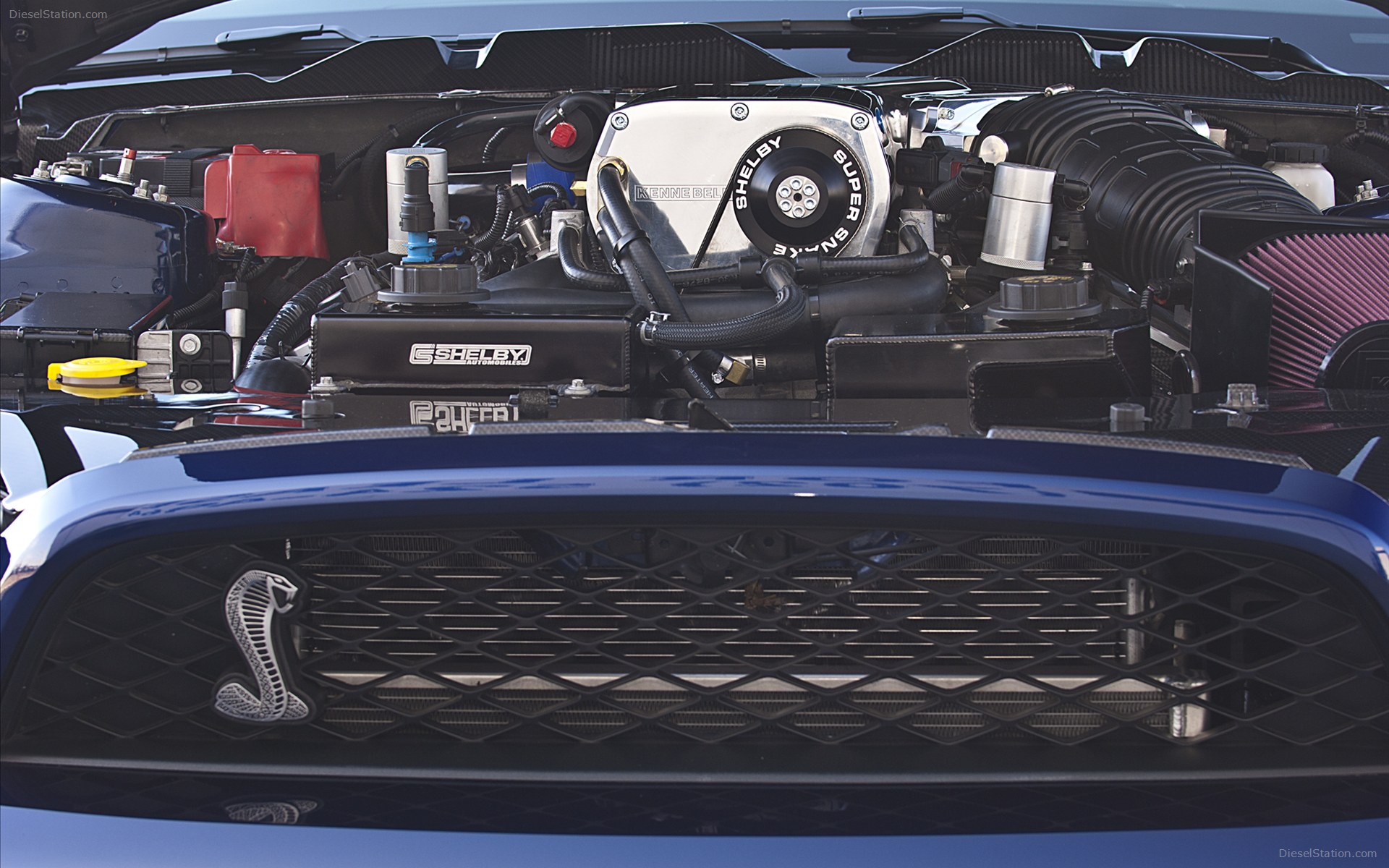 Ford Shelby 1000 2012