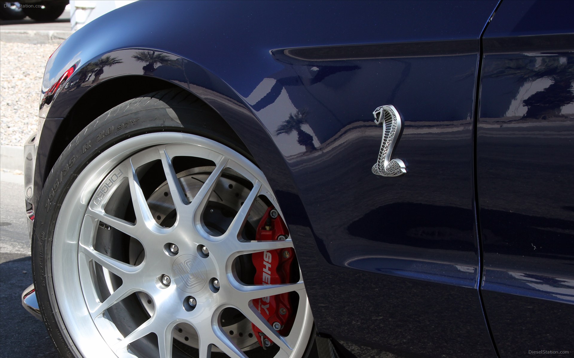 Ford Shelby 1000 2012