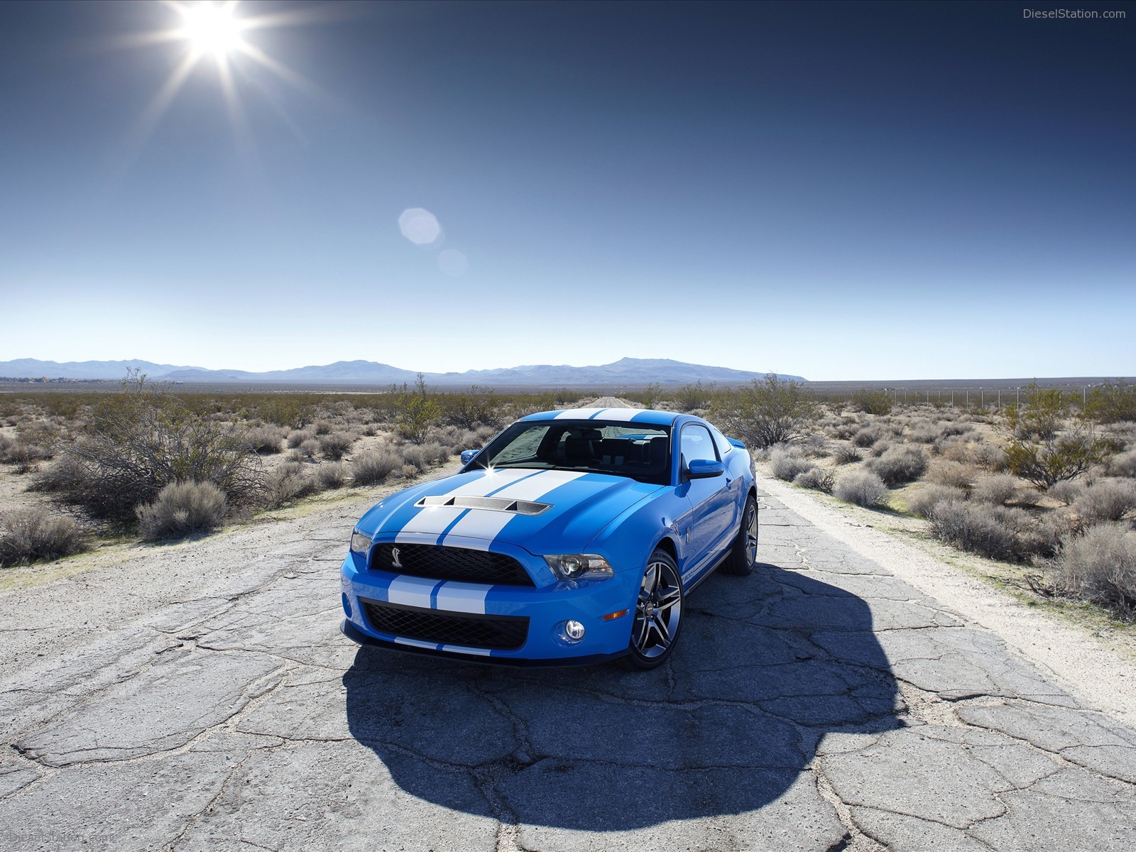Shelby GT500 2010 packs 540 HP