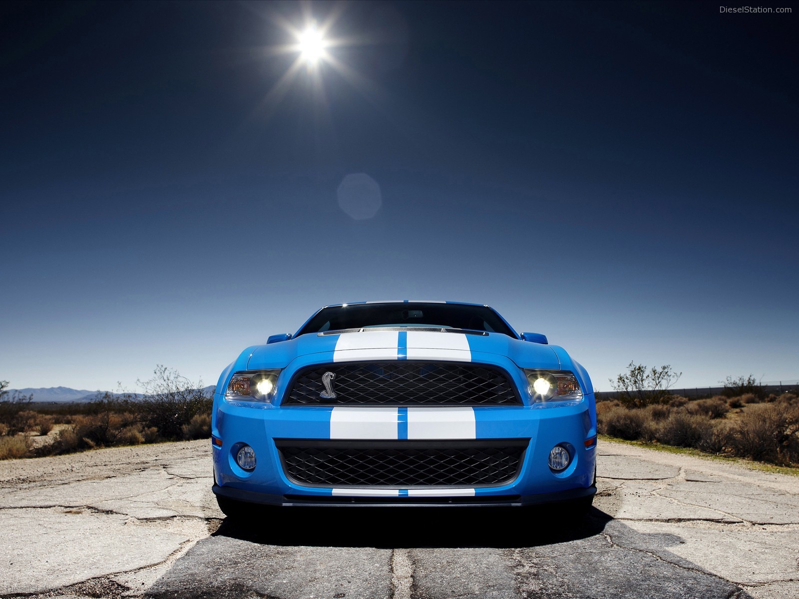 Shelby GT500 2010 packs 540 HP