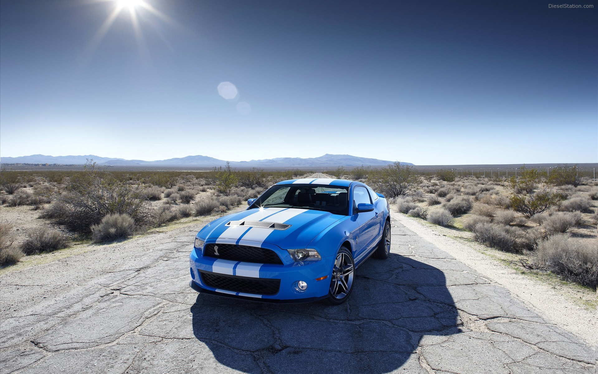 Shelby GT500 2010 packs 540 HP