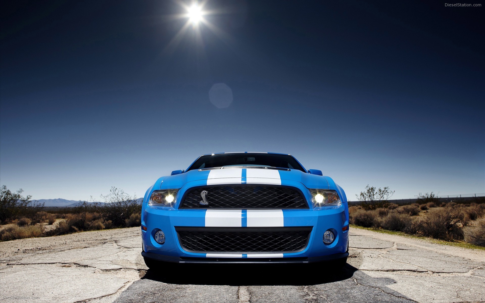 Shelby GT500 2010 packs 540 HP