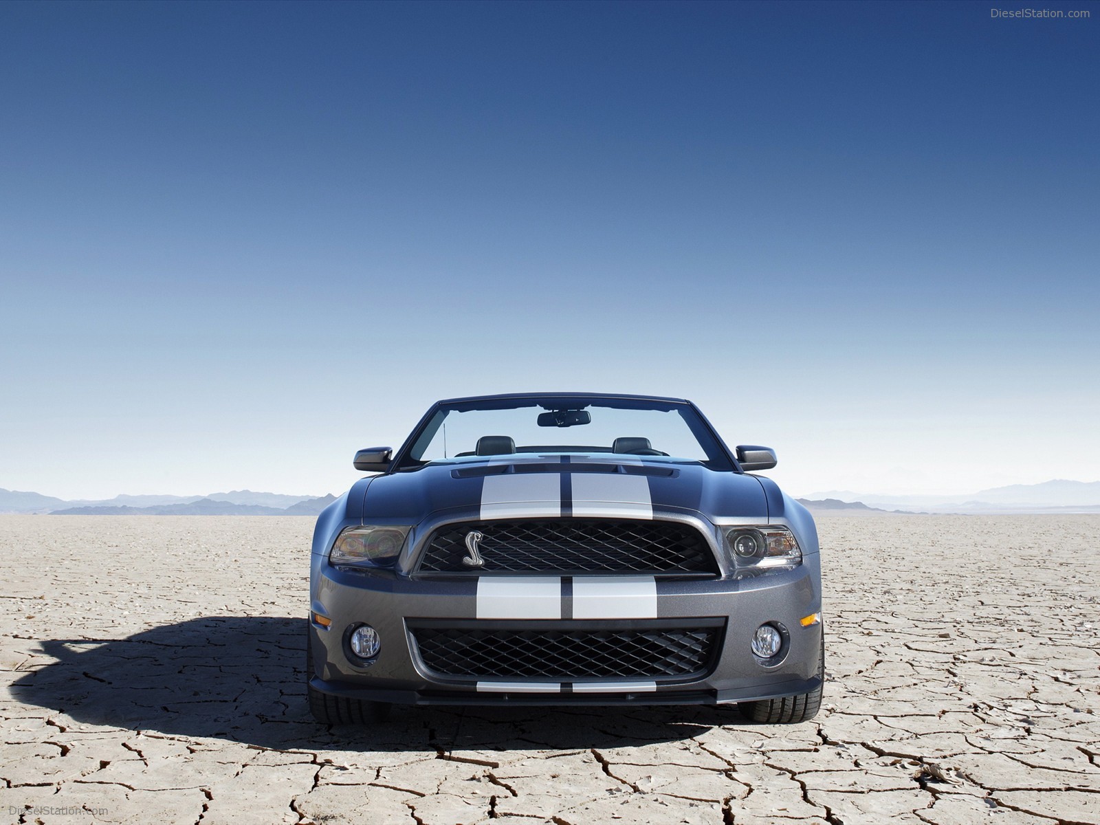 Ford Shelby GT500 Convertible 2010