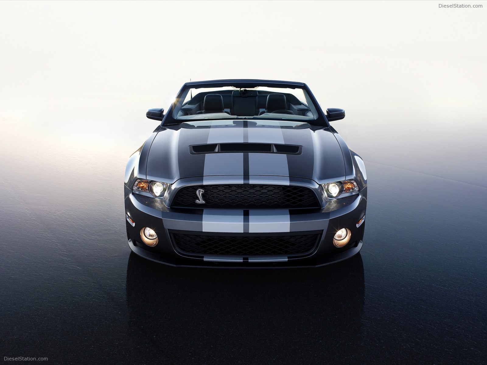Ford Shelby GT500 Convertible 2010