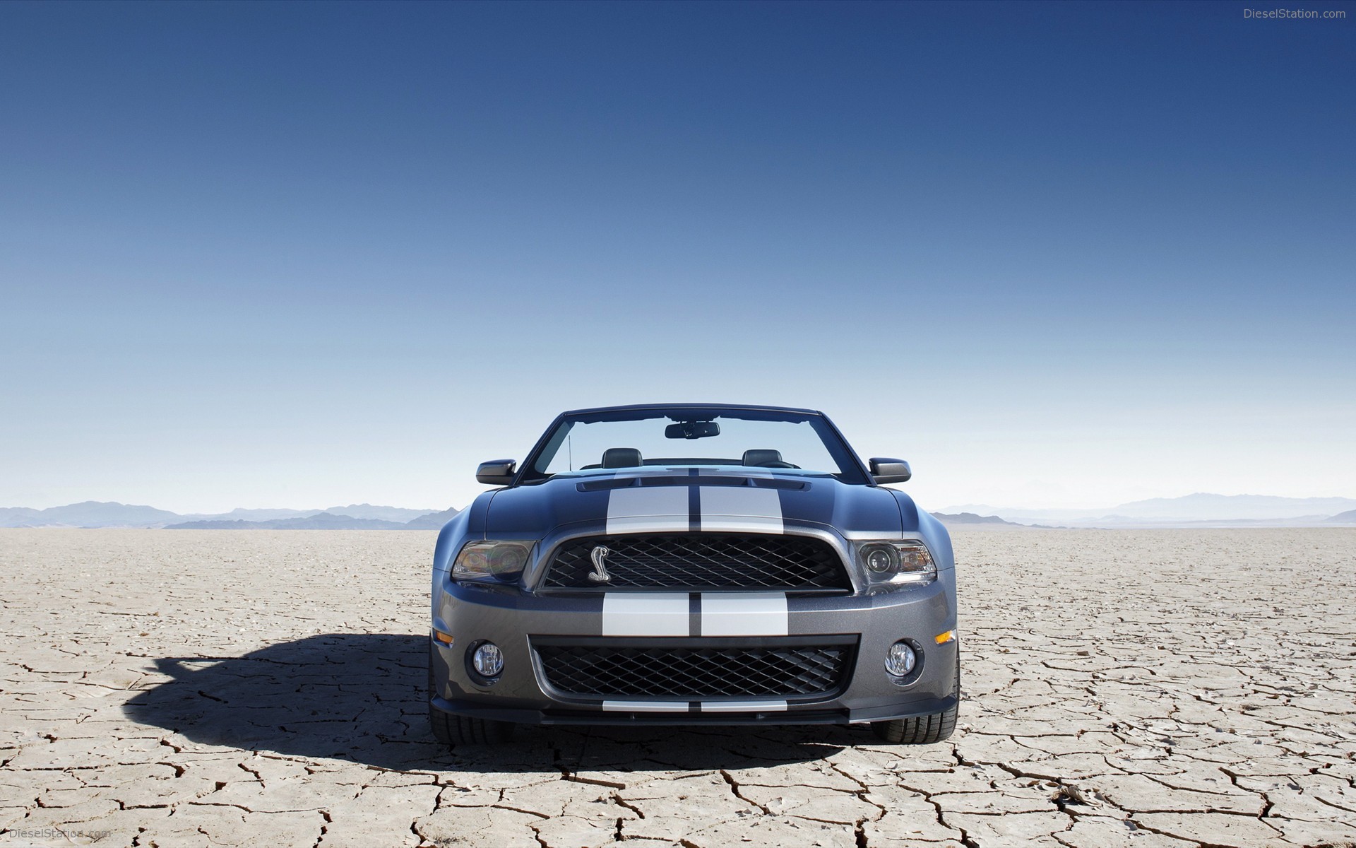 Ford Shelby GT500 Convertible 2010