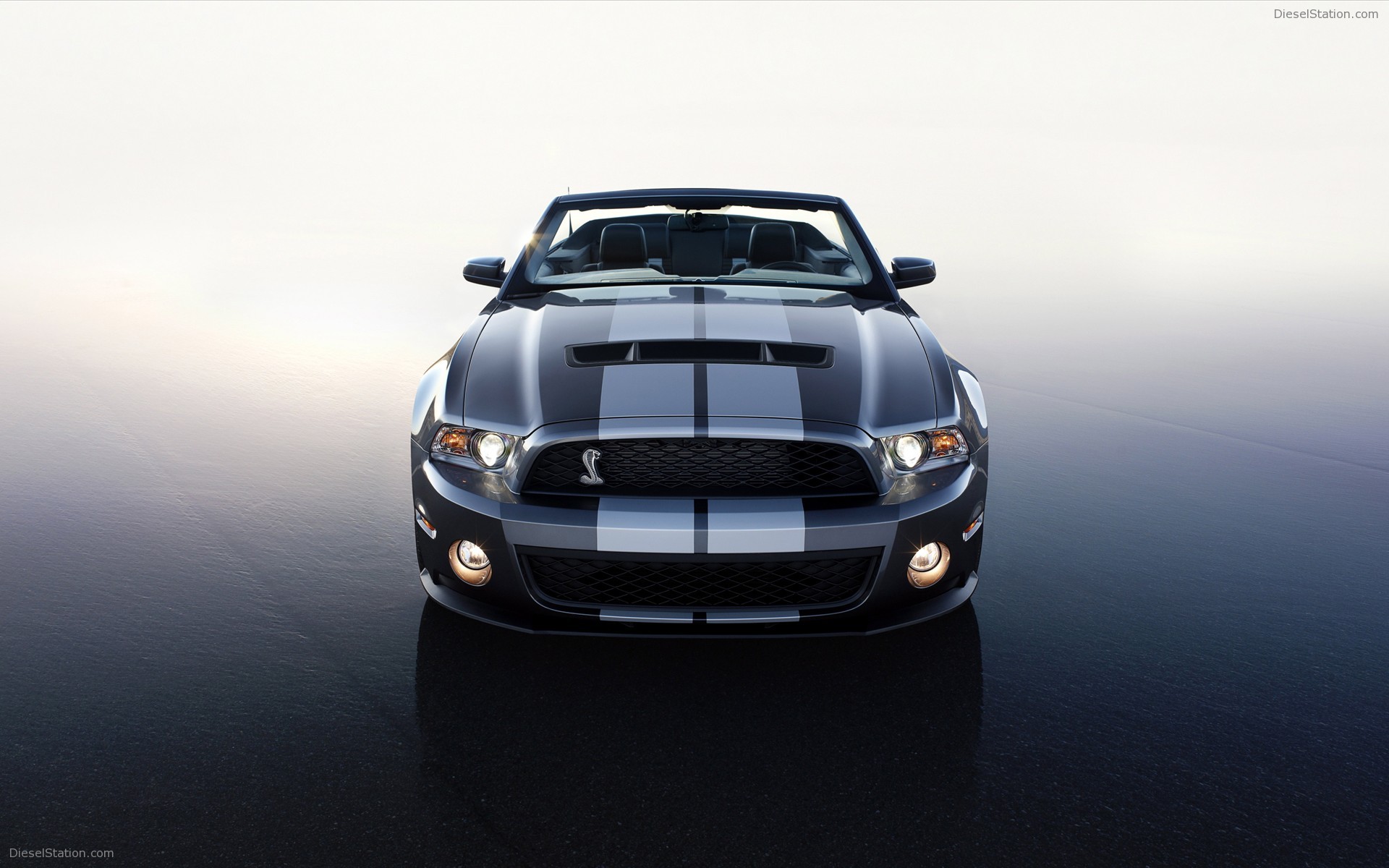 Ford Shelby GT500 Convertible 2010