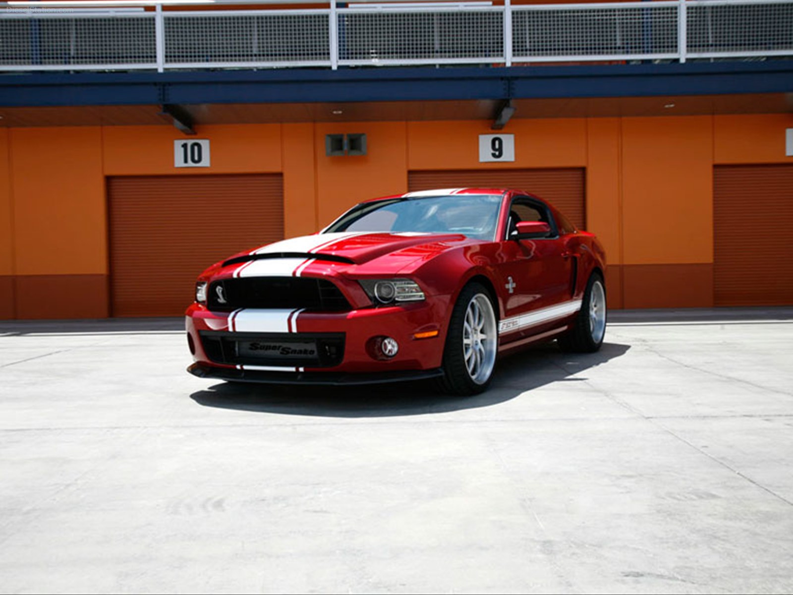 Shelby American GT500 Super Snake 2013