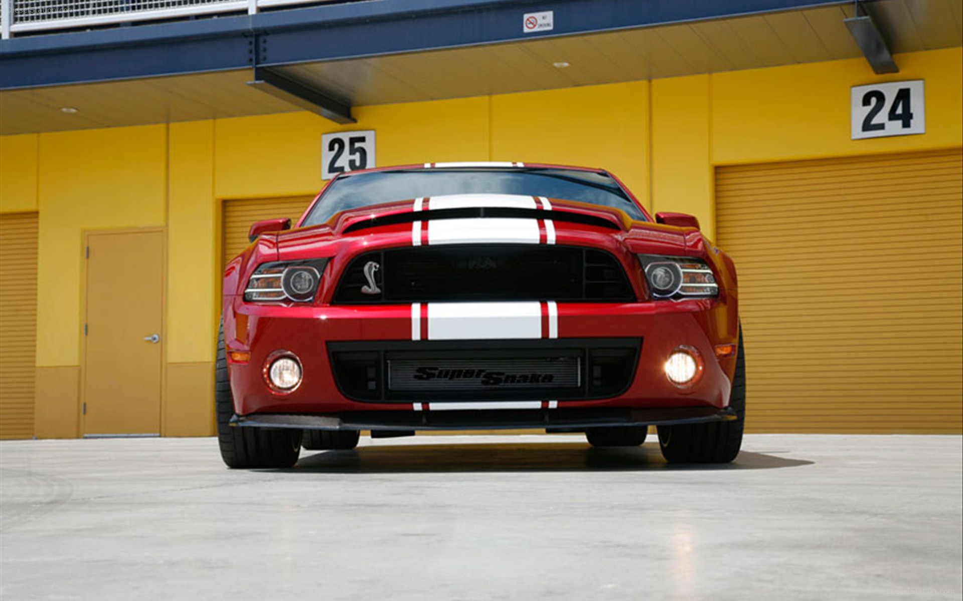 Shelby American GT500 Super Snake 2013