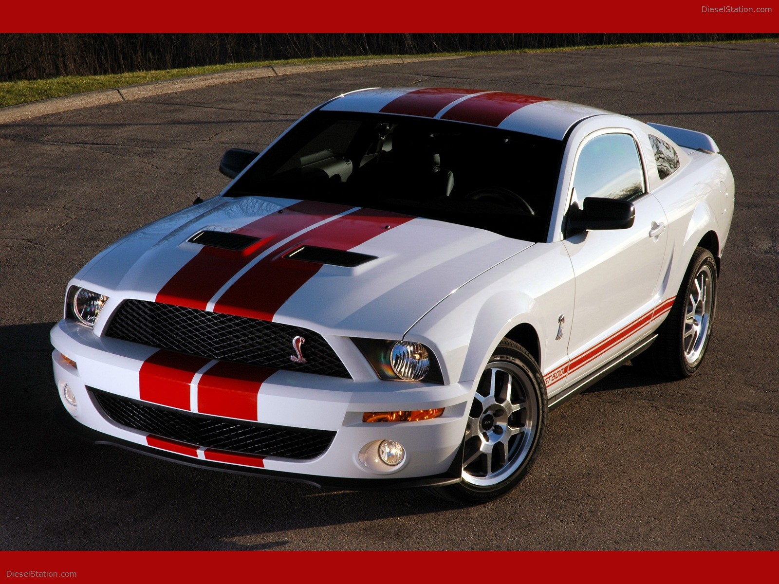 Ford shelby cobra gt500 red stripe #8