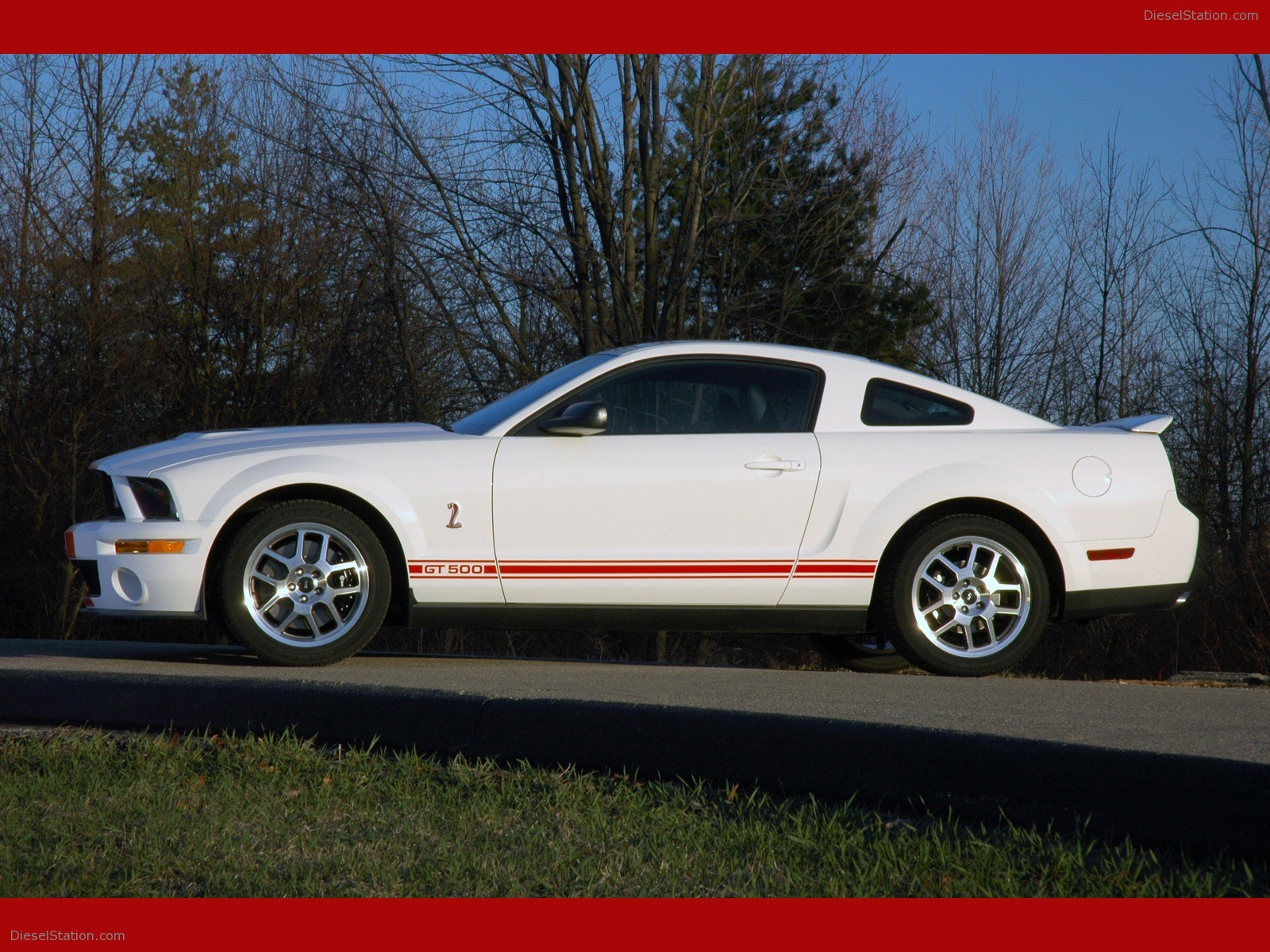 Ford shelby cobra gt500 red stripe #6