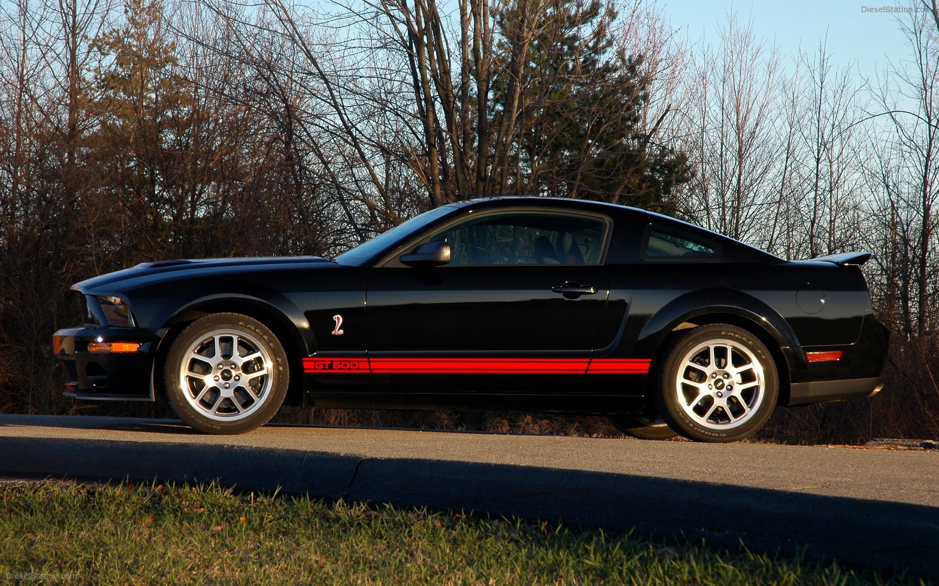 Ford shelby cobra gt500 red stripe #9