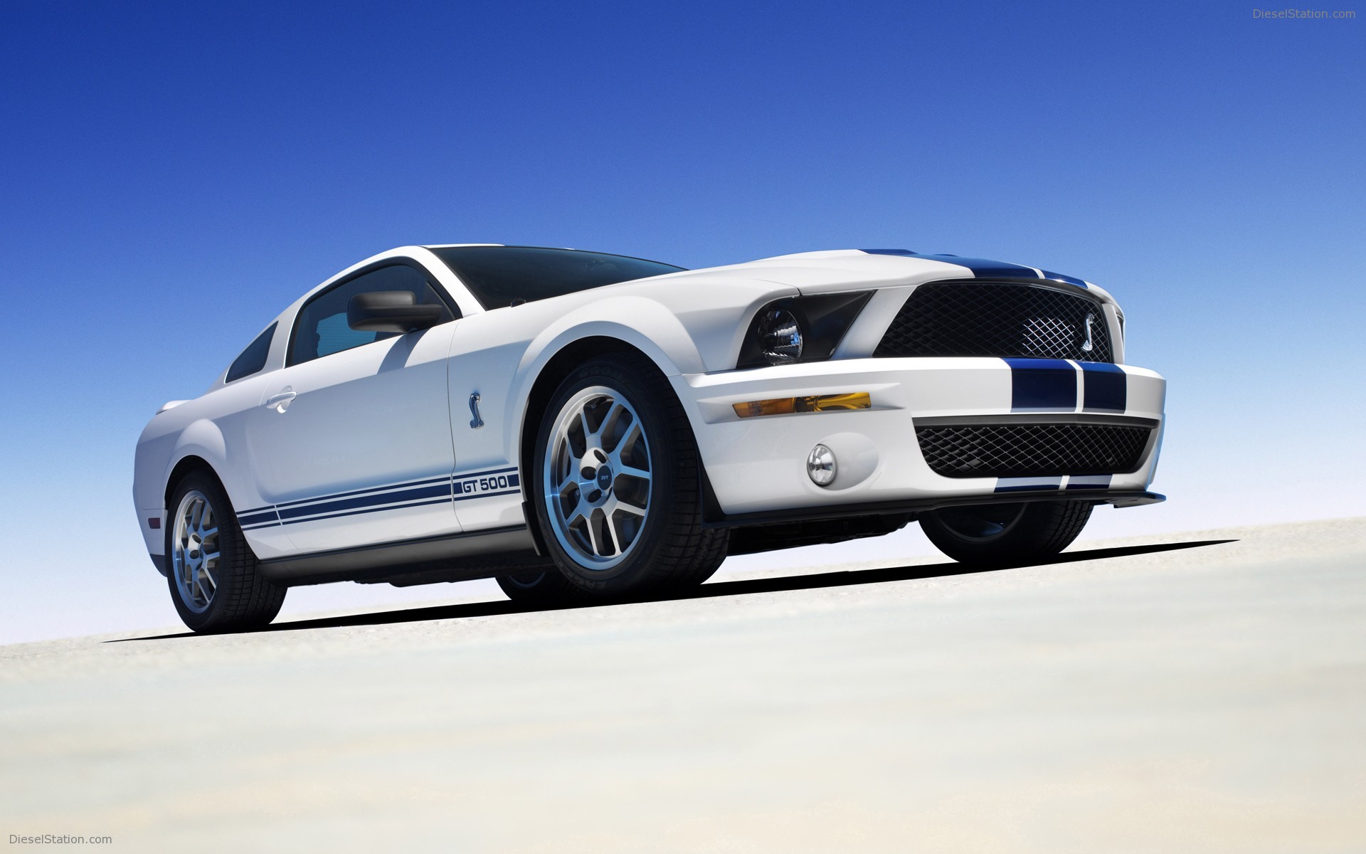 Cobra ford gt500 shelby #7