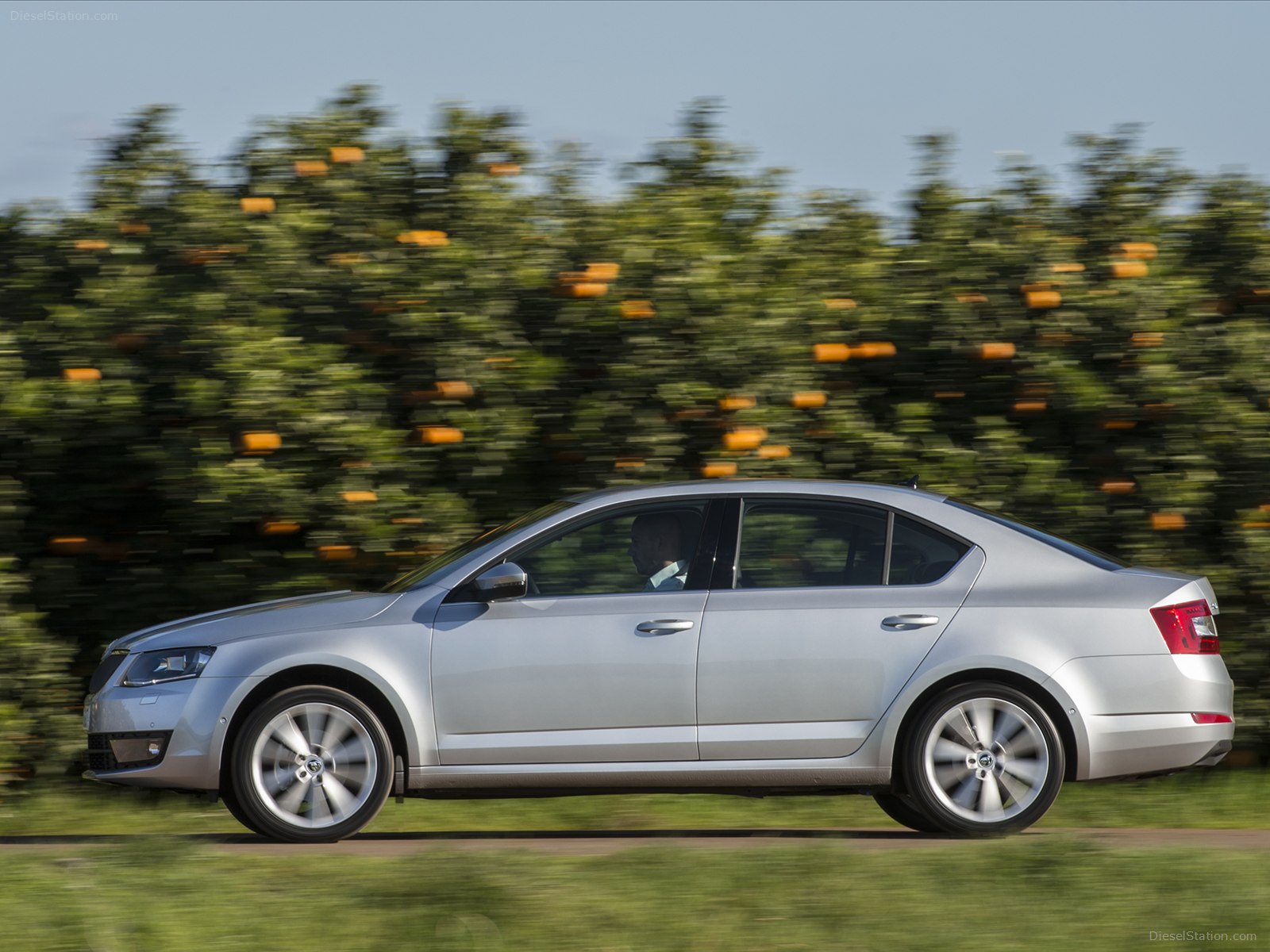 Skoda Octavia 2013