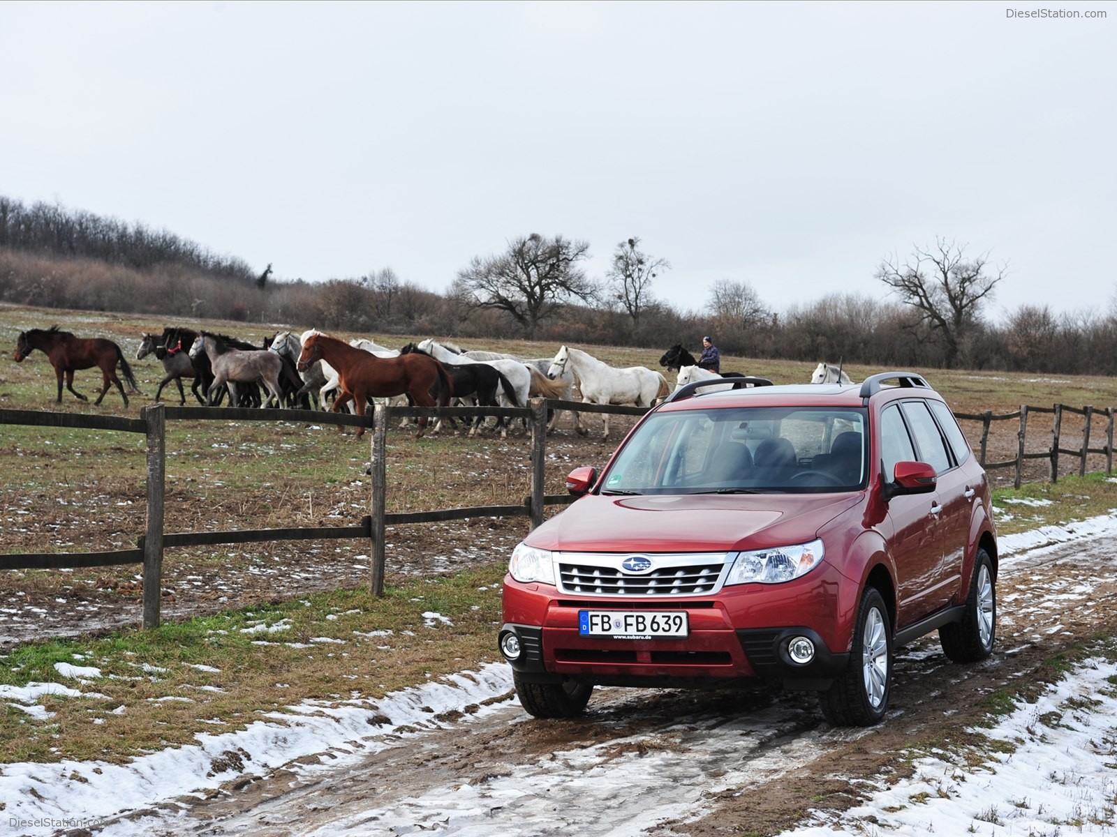 Subaru Forester 2011